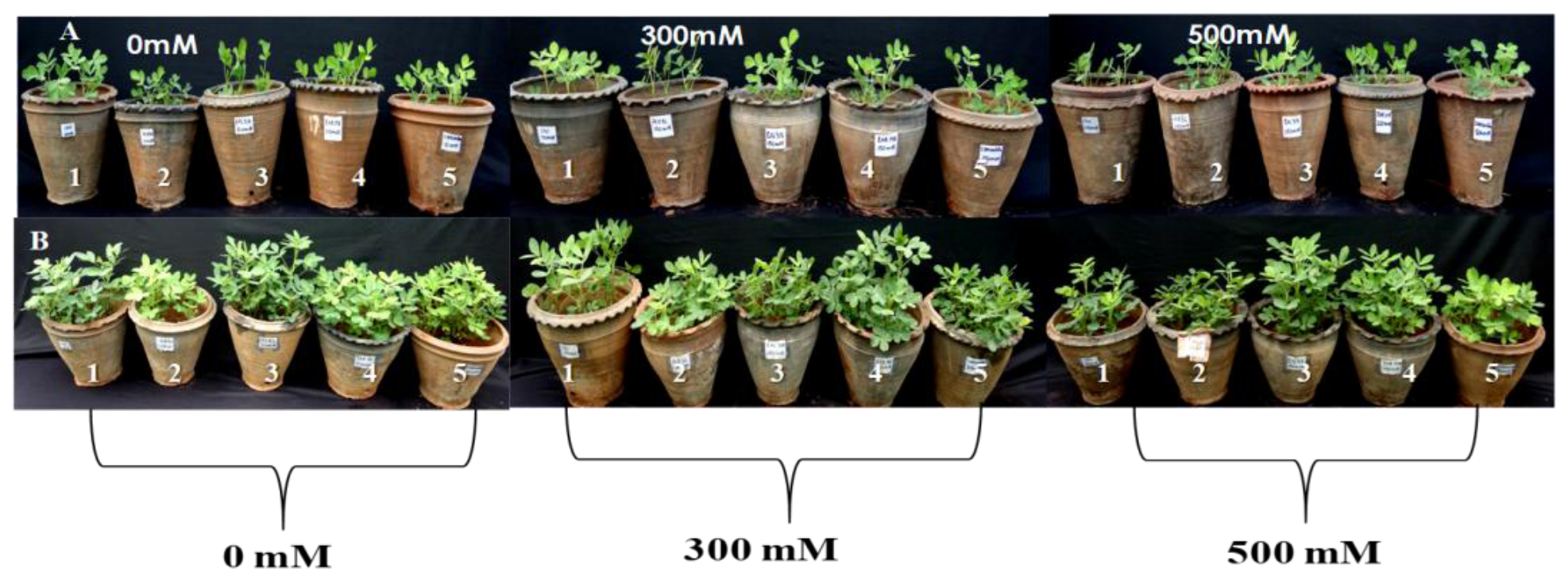 Preprints 222650 g002