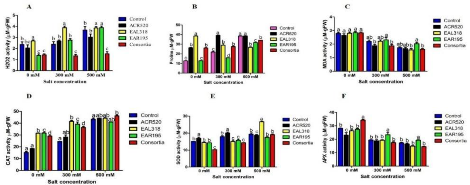 Preprints 222650 g004