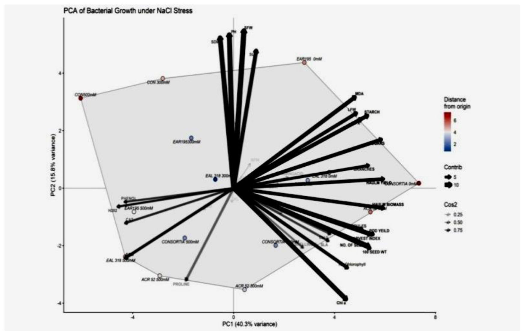 Preprints 222650 g006