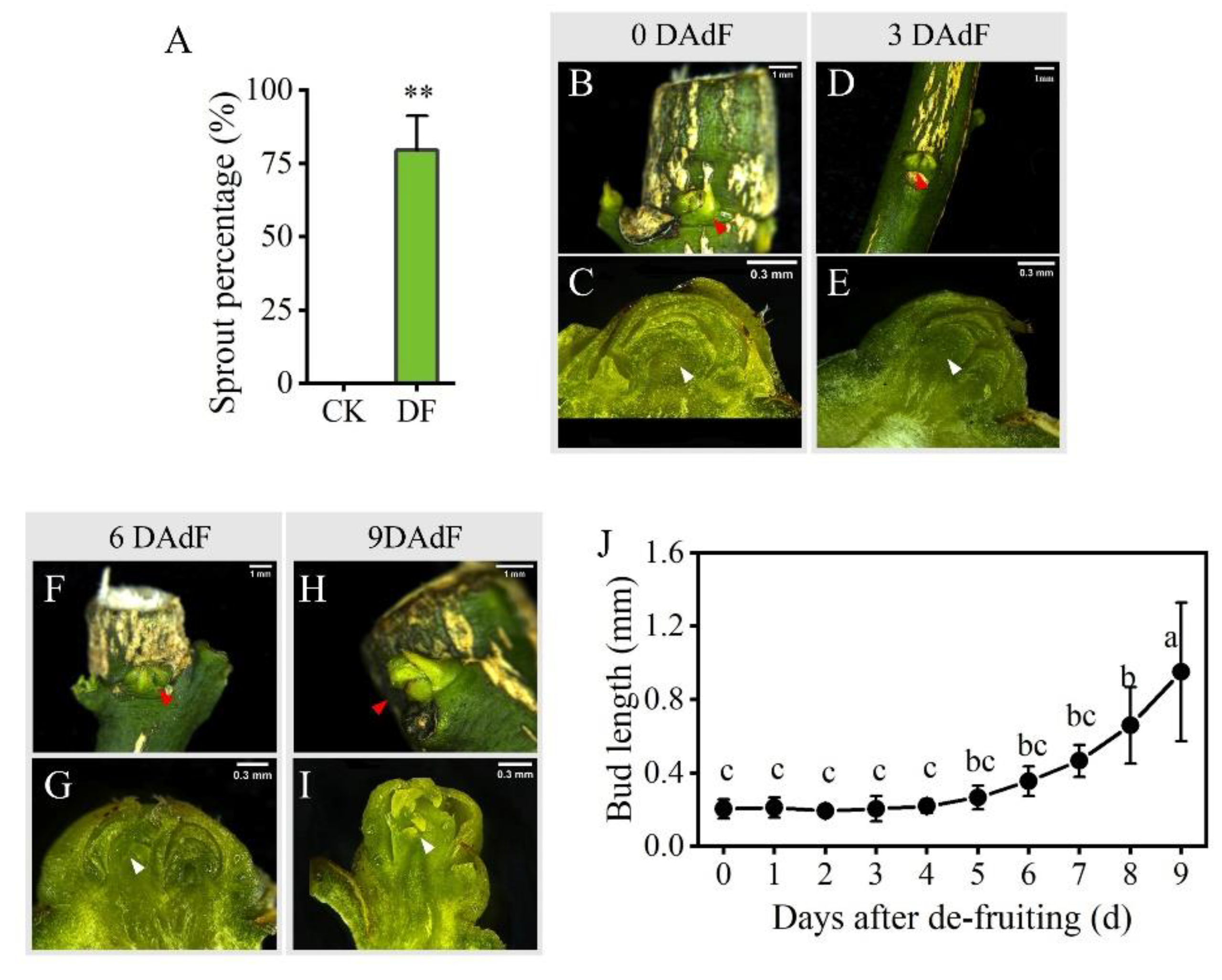 Preprints 182998 g002