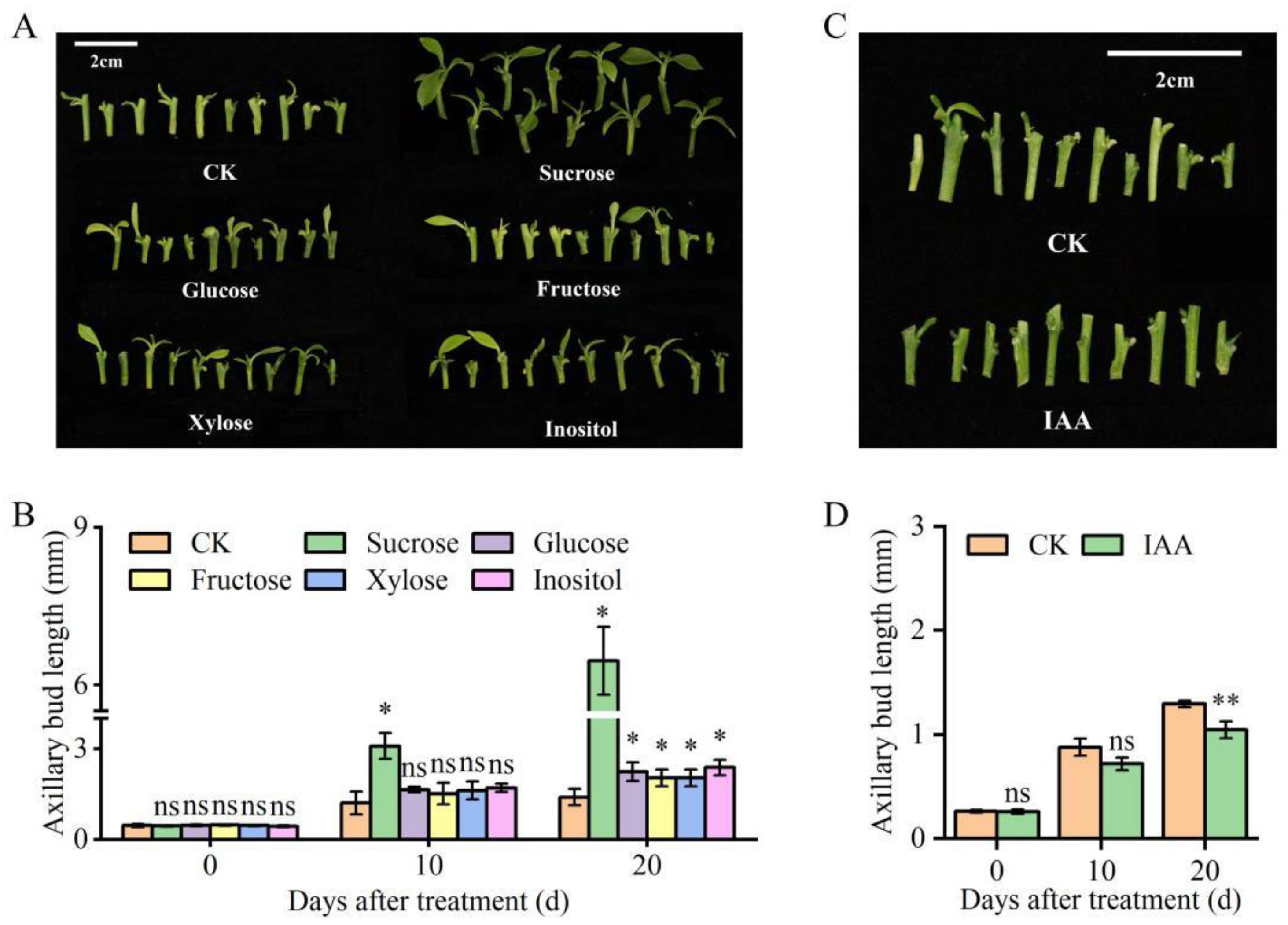 Preprints 182998 g006