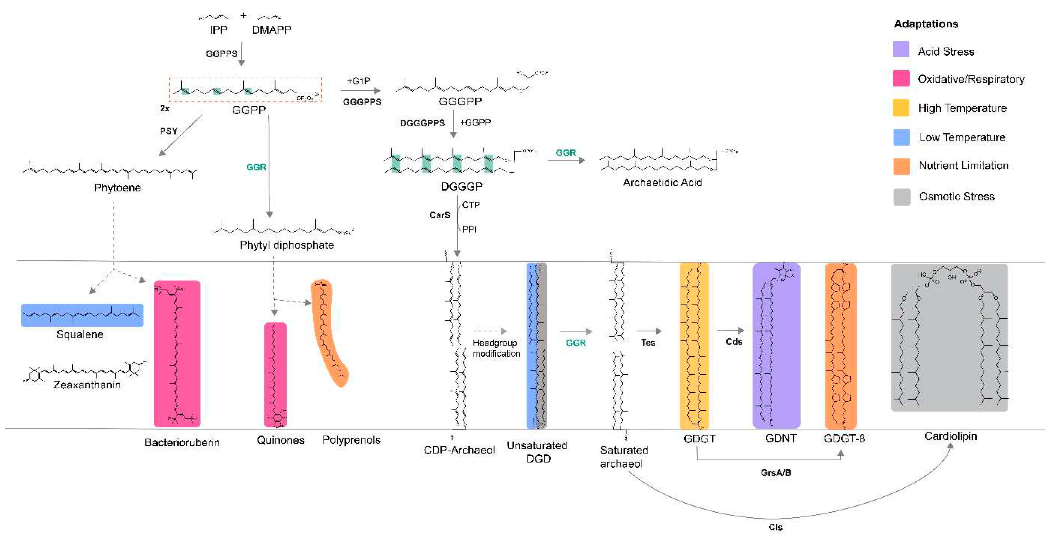Preprints 79975 g001
