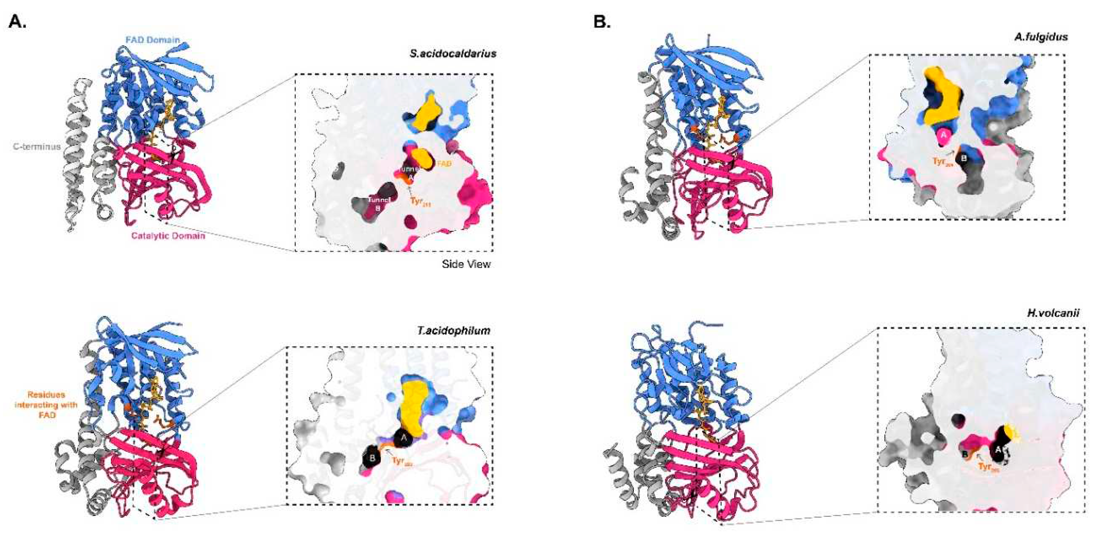 Preprints 79975 g002