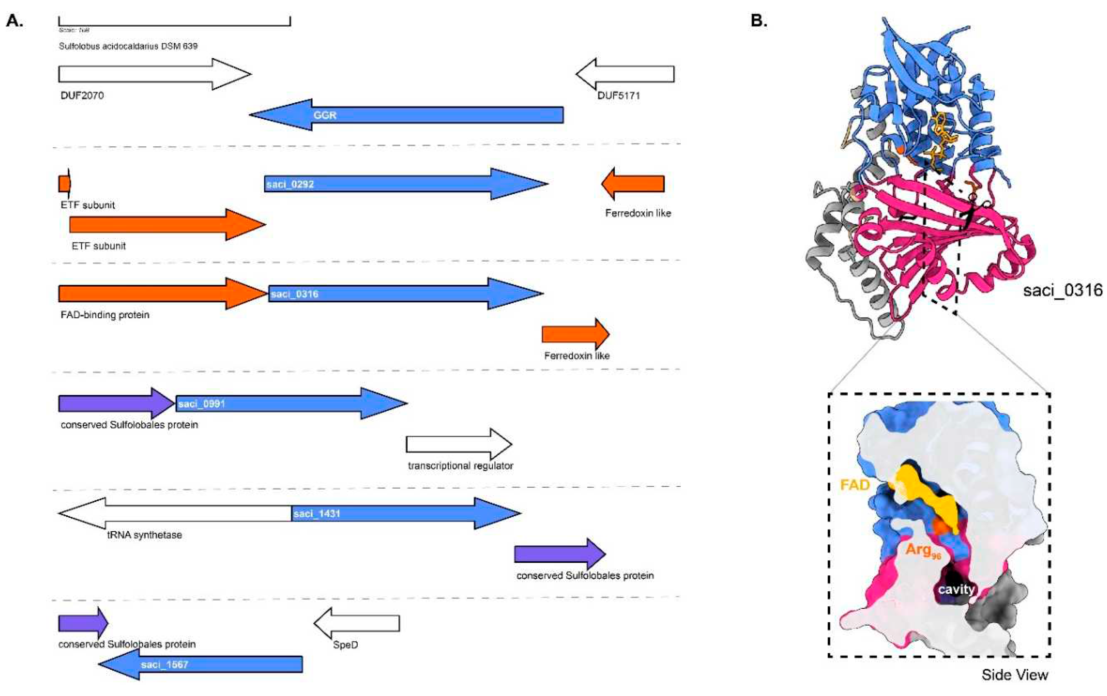 Preprints 79975 g005