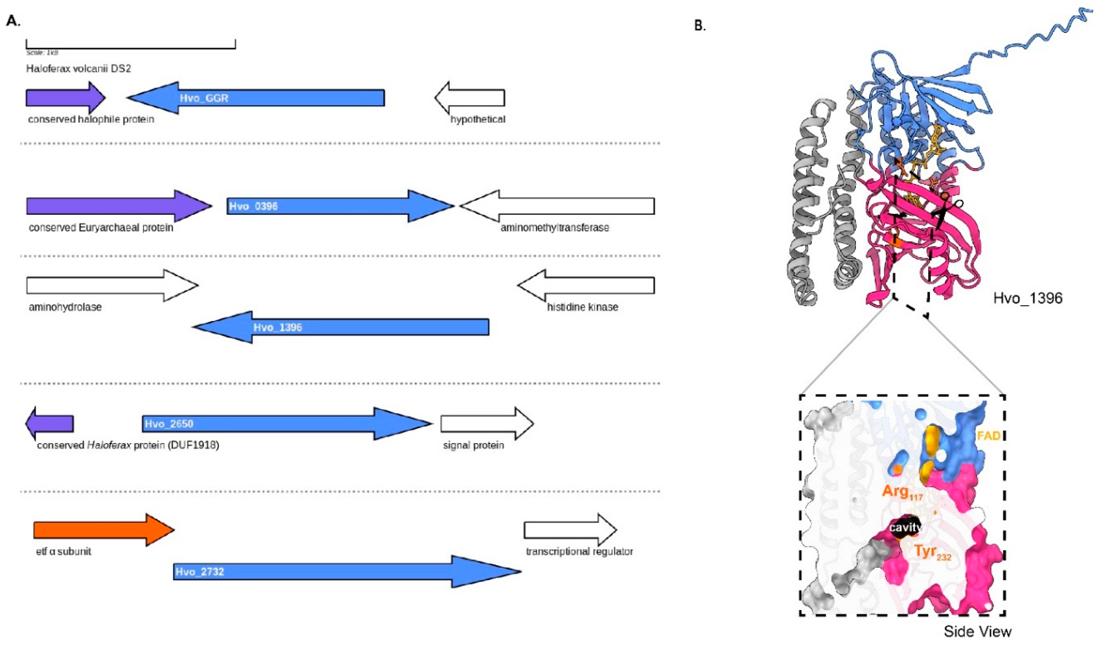 Preprints 79975 g008