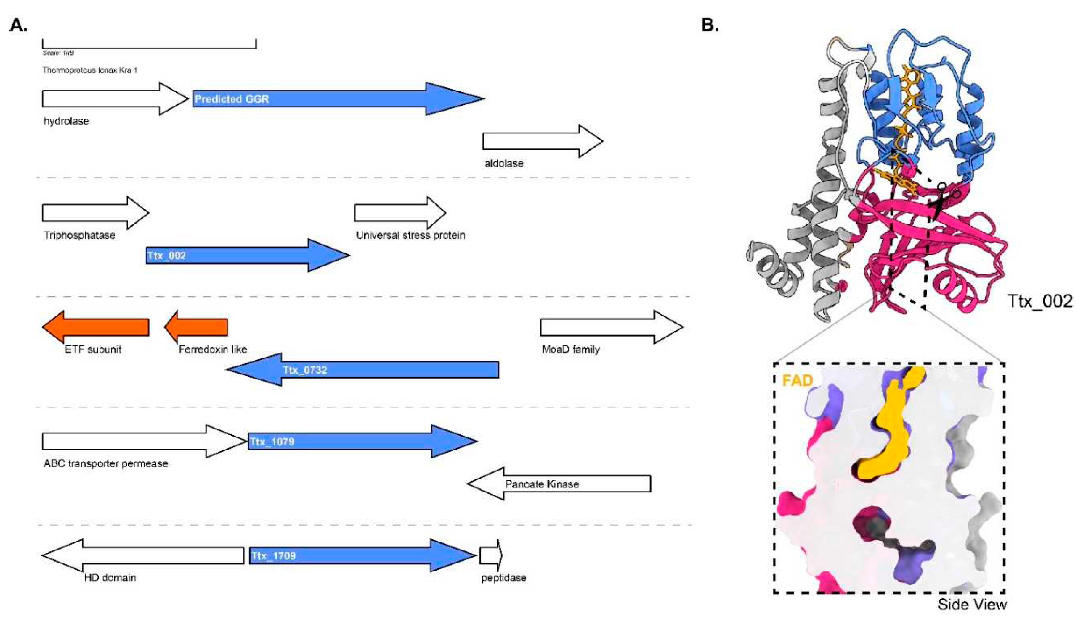 Preprints 79975 g009
