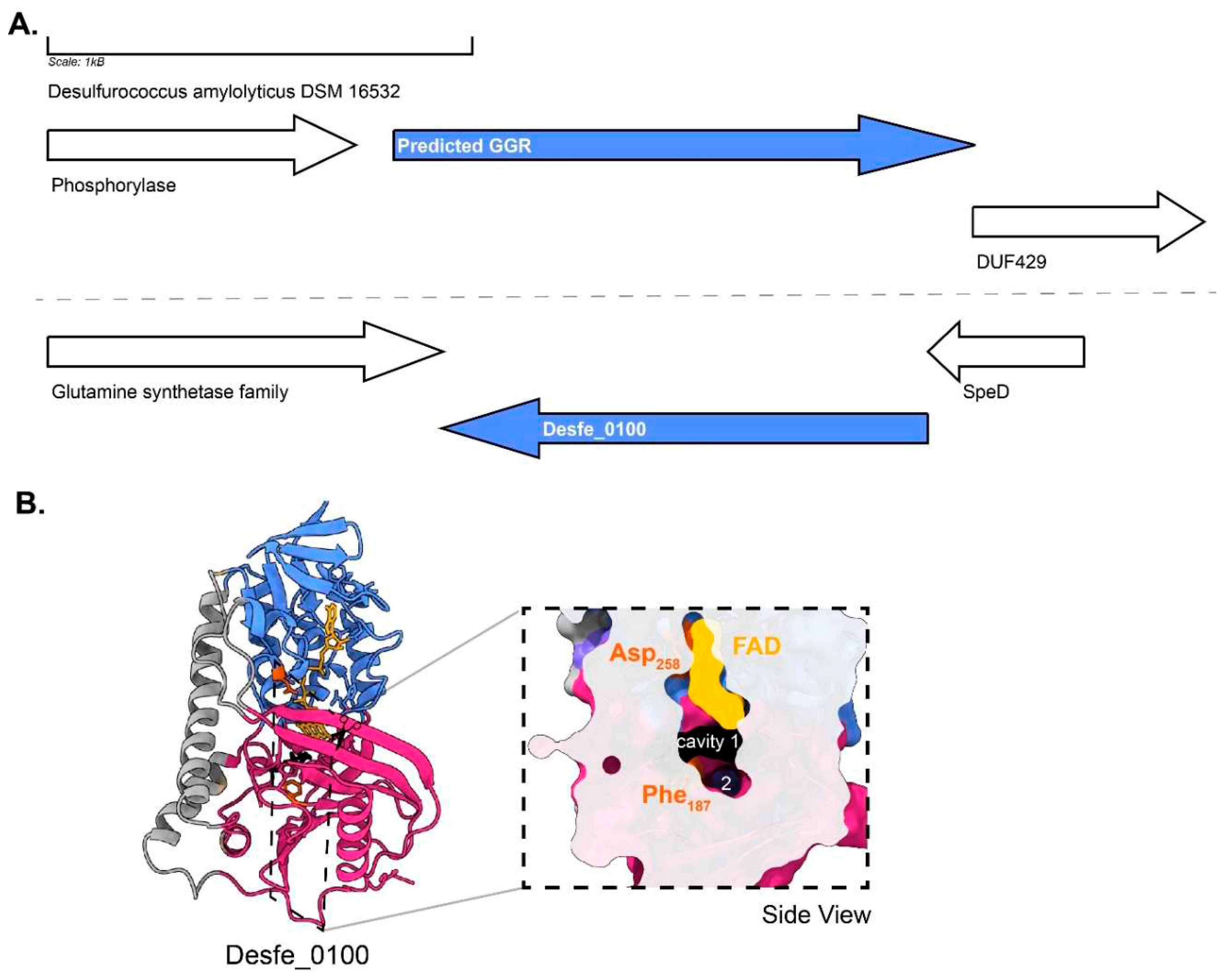 Preprints 79975 g010