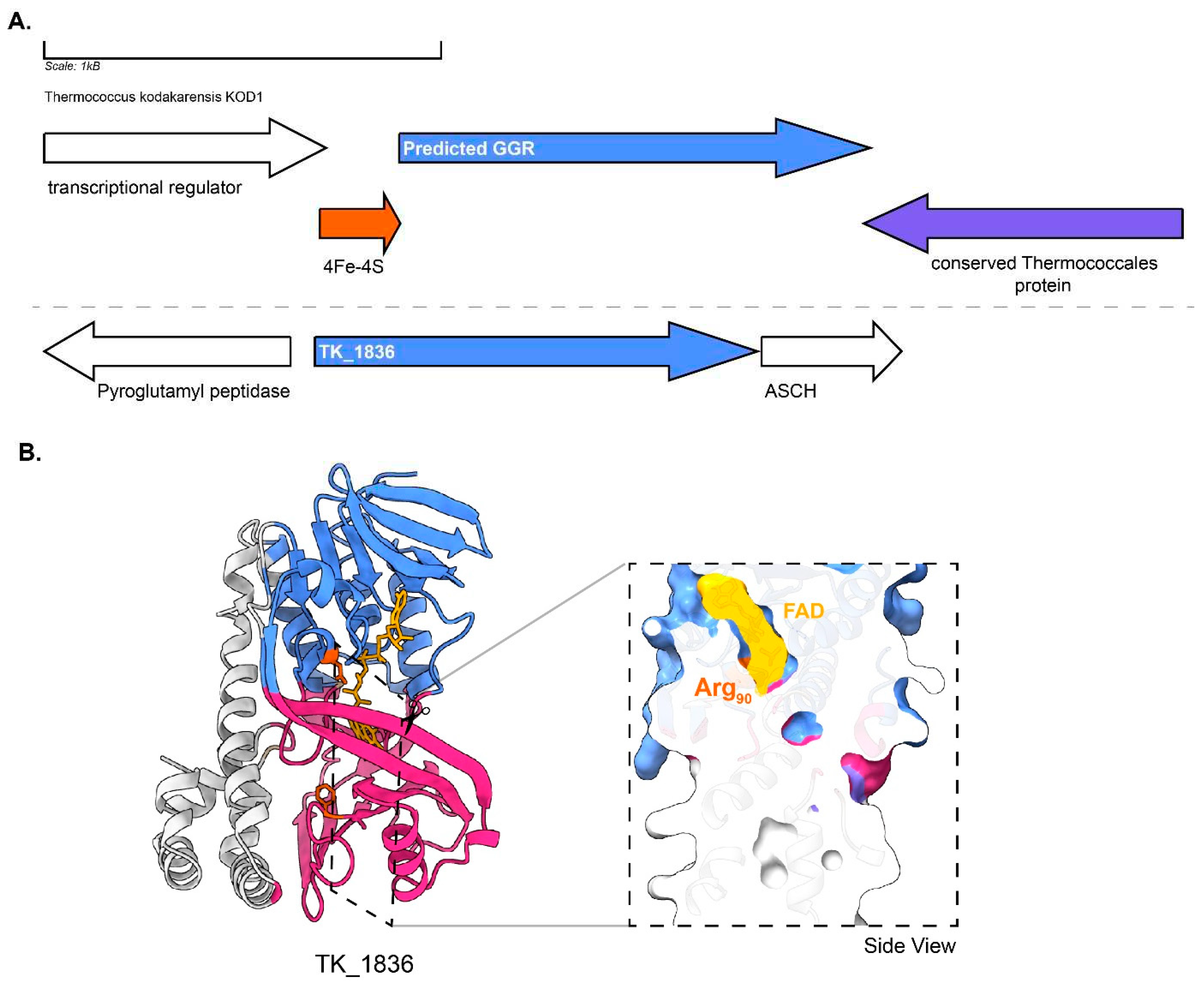 Preprints 79975 g011