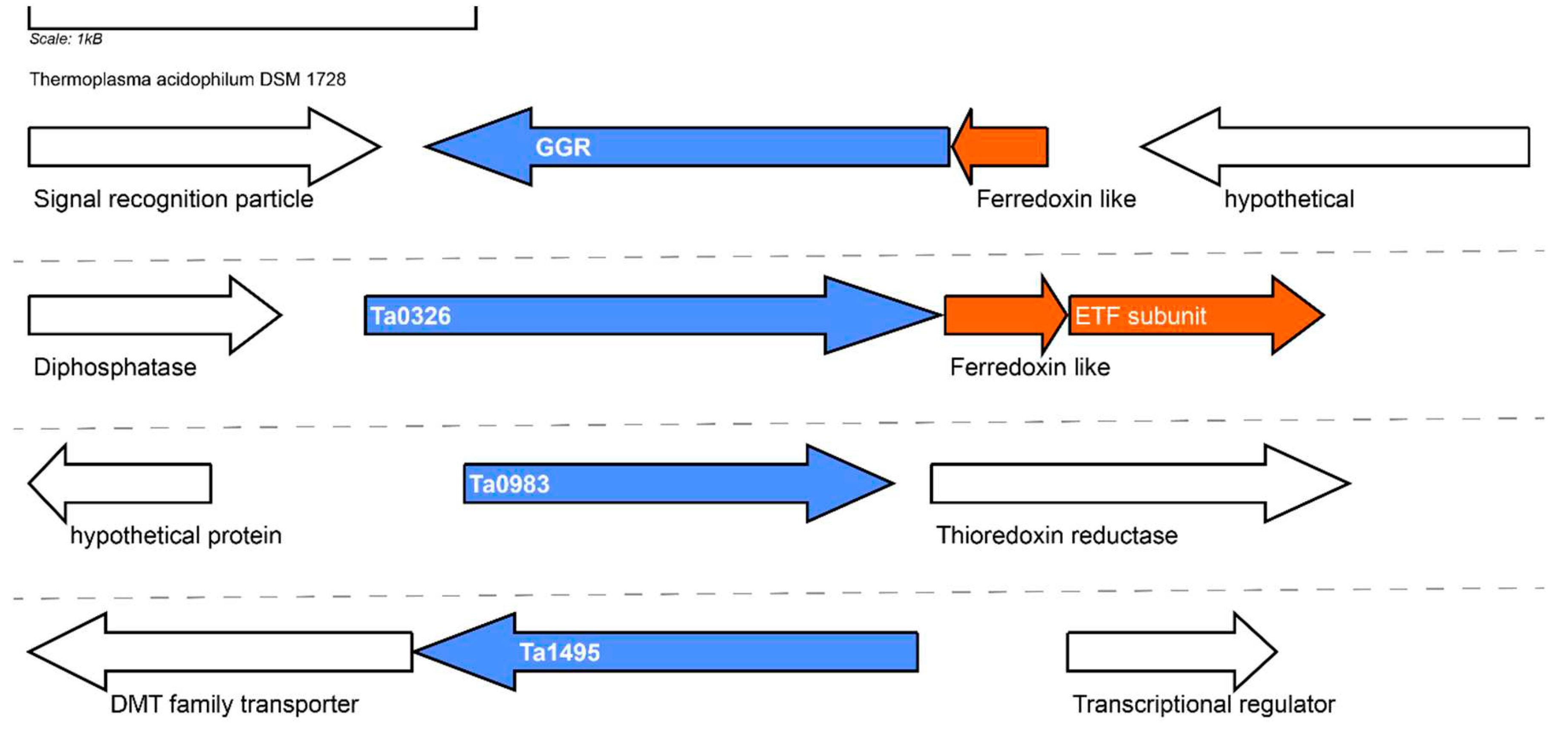 Preprints 79975 g012