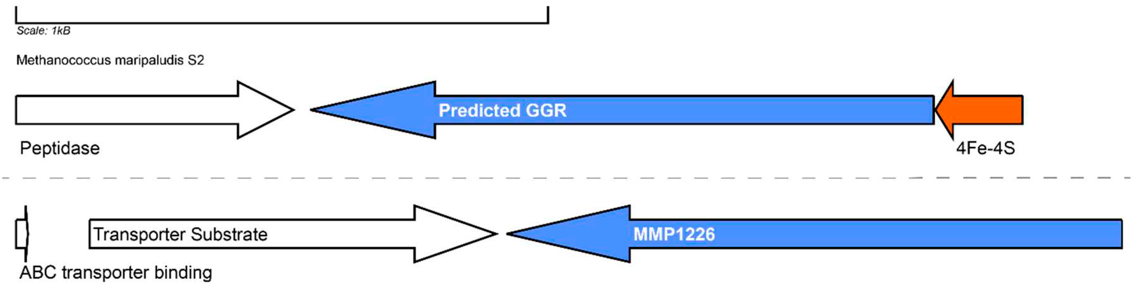 Preprints 79975 g013