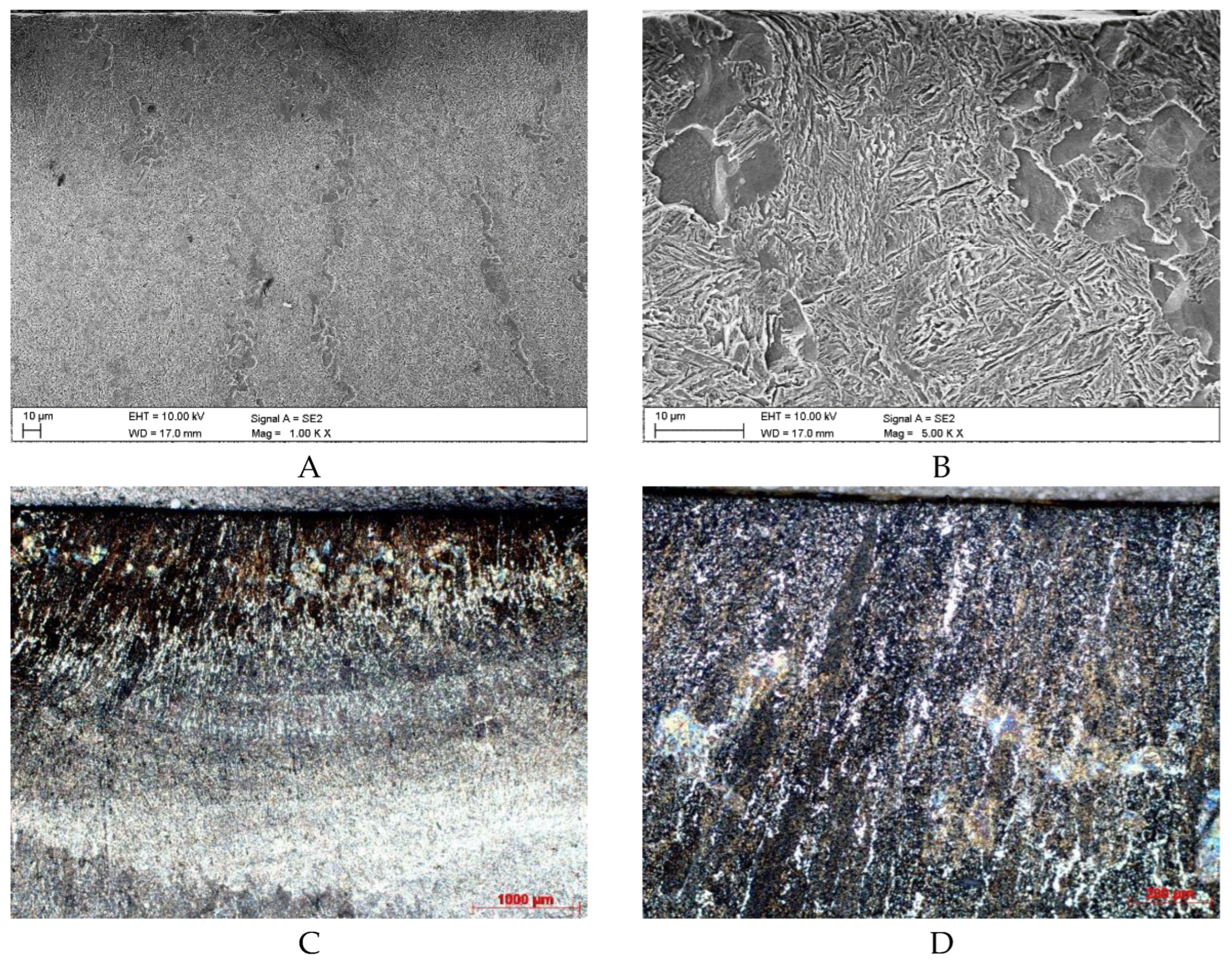 Preprints 177066 g002a