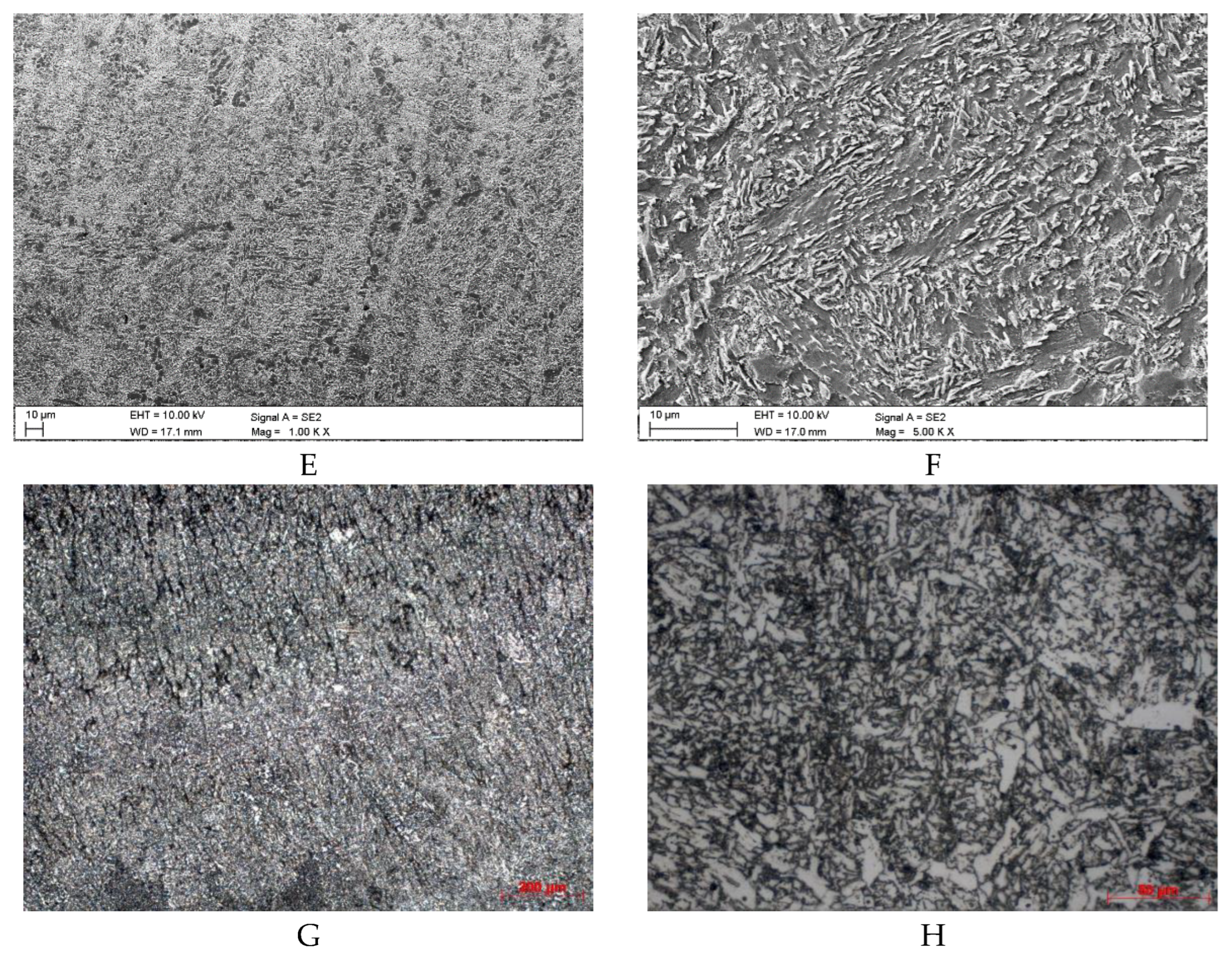Preprints 177066 g002b