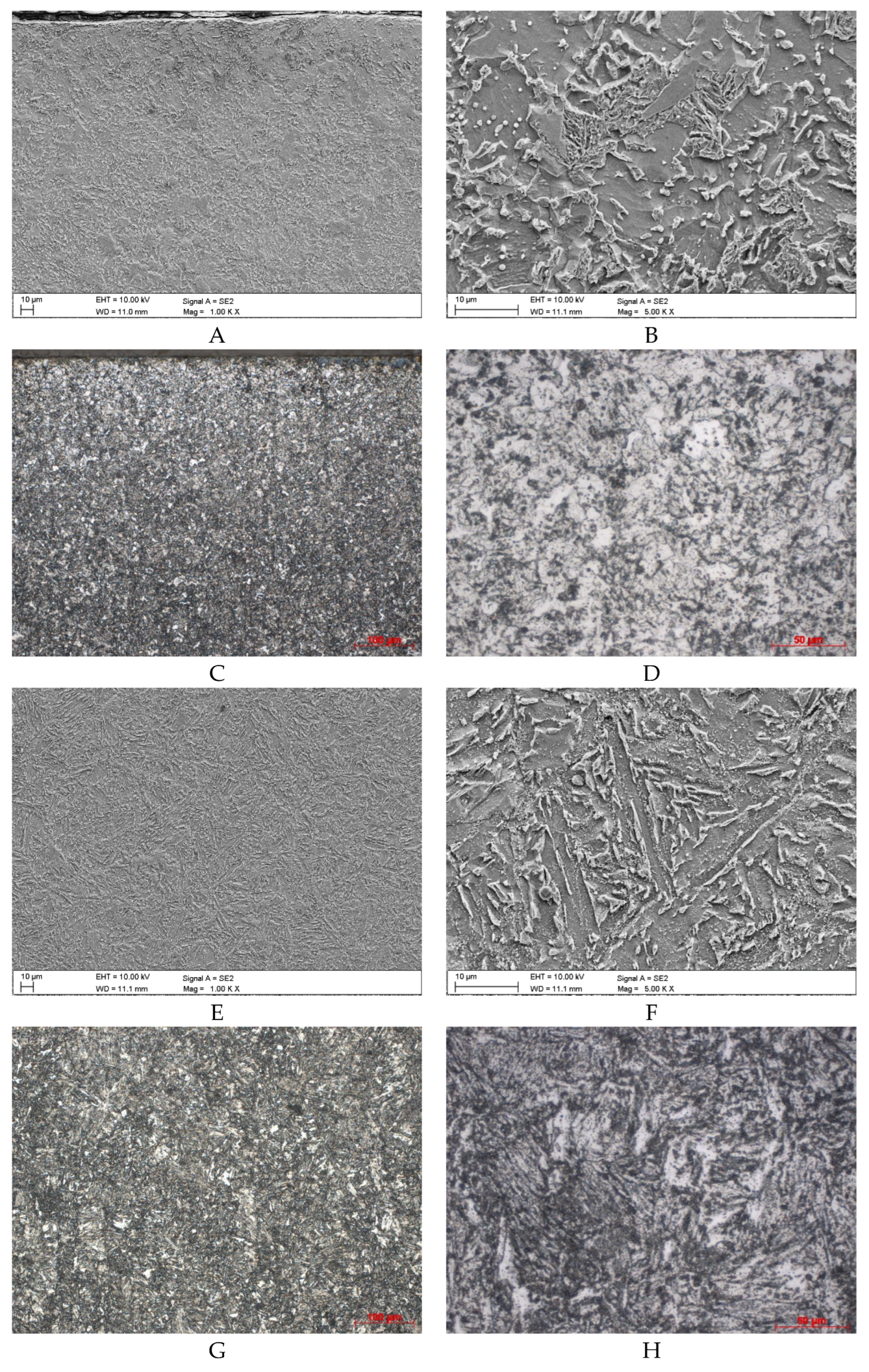 Preprints 177066 g003
