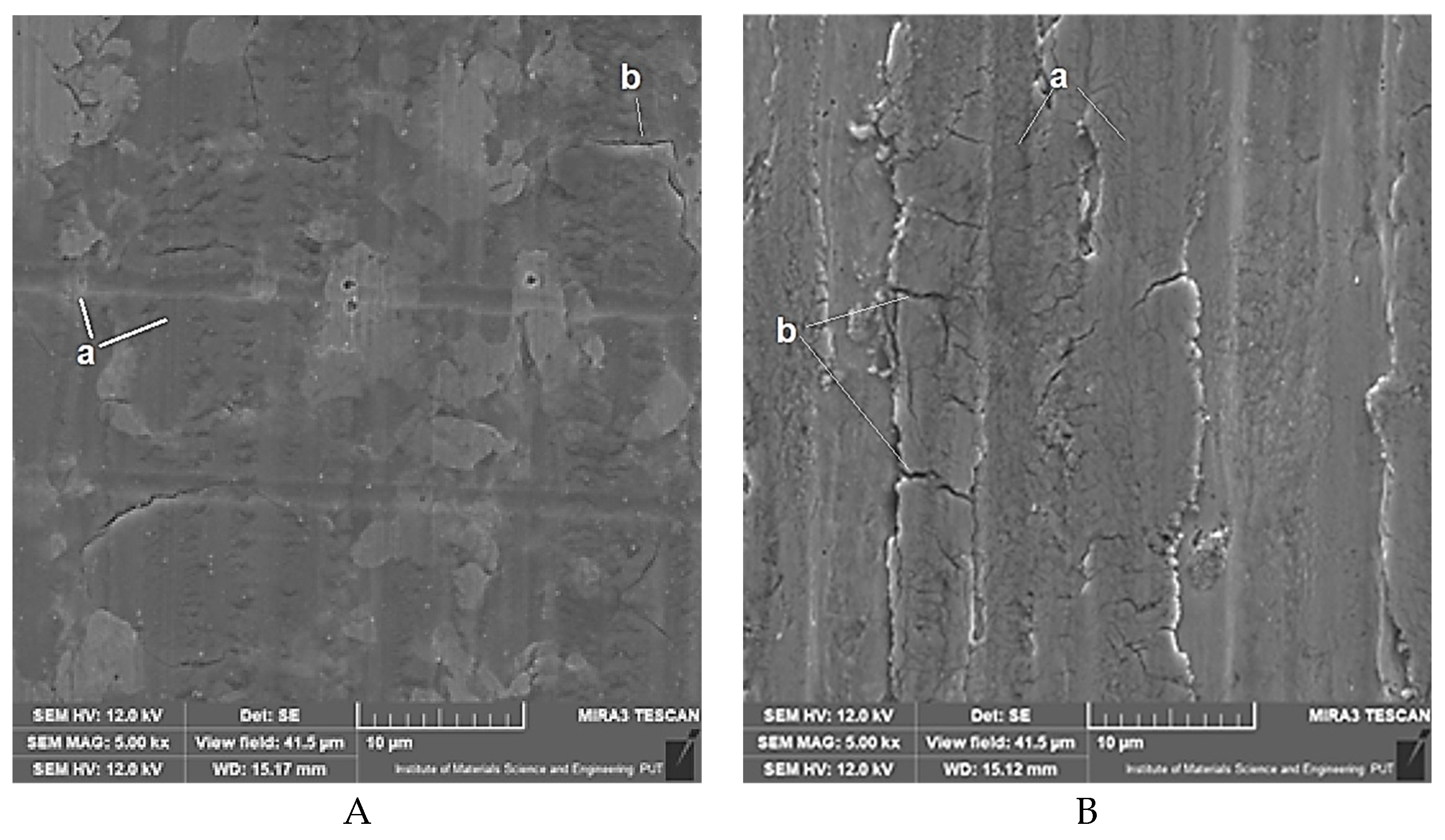 Preprints 177066 g008
