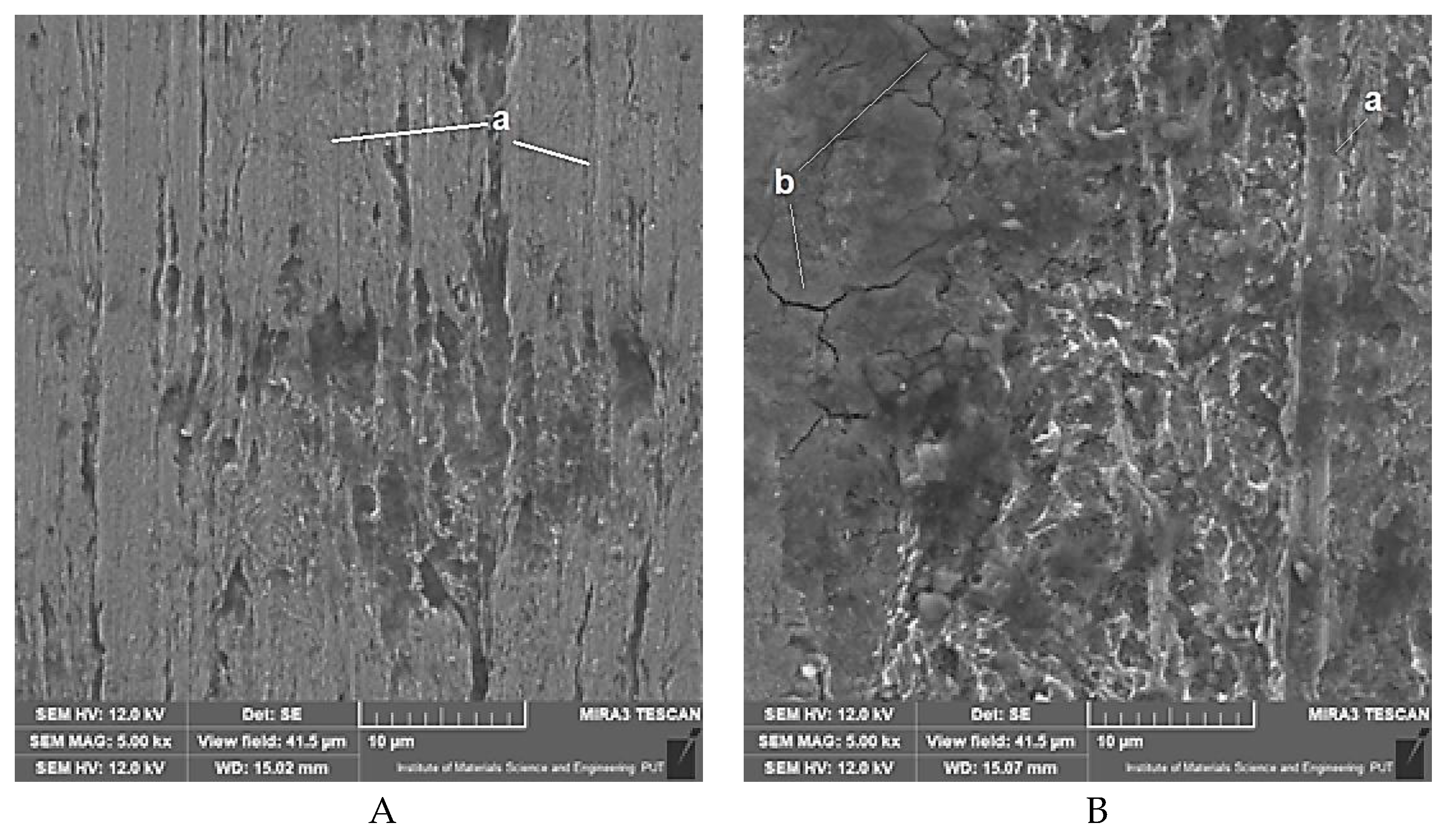 Preprints 177066 g009