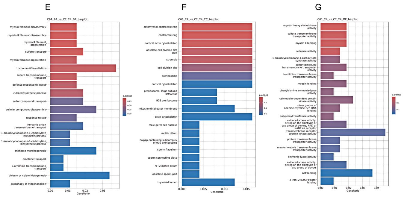 Preprints 201249 g003