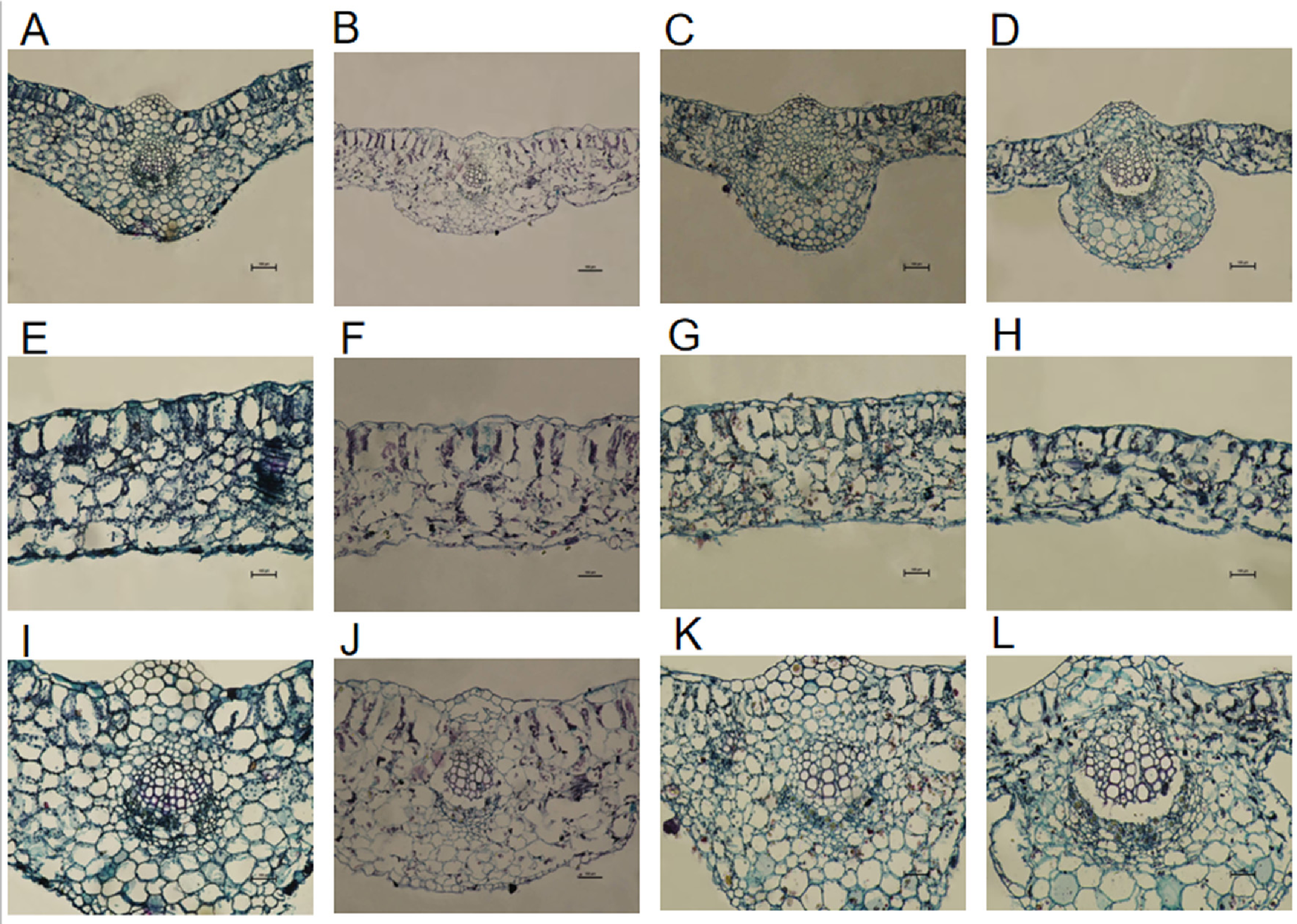 Preprints 201249 g006