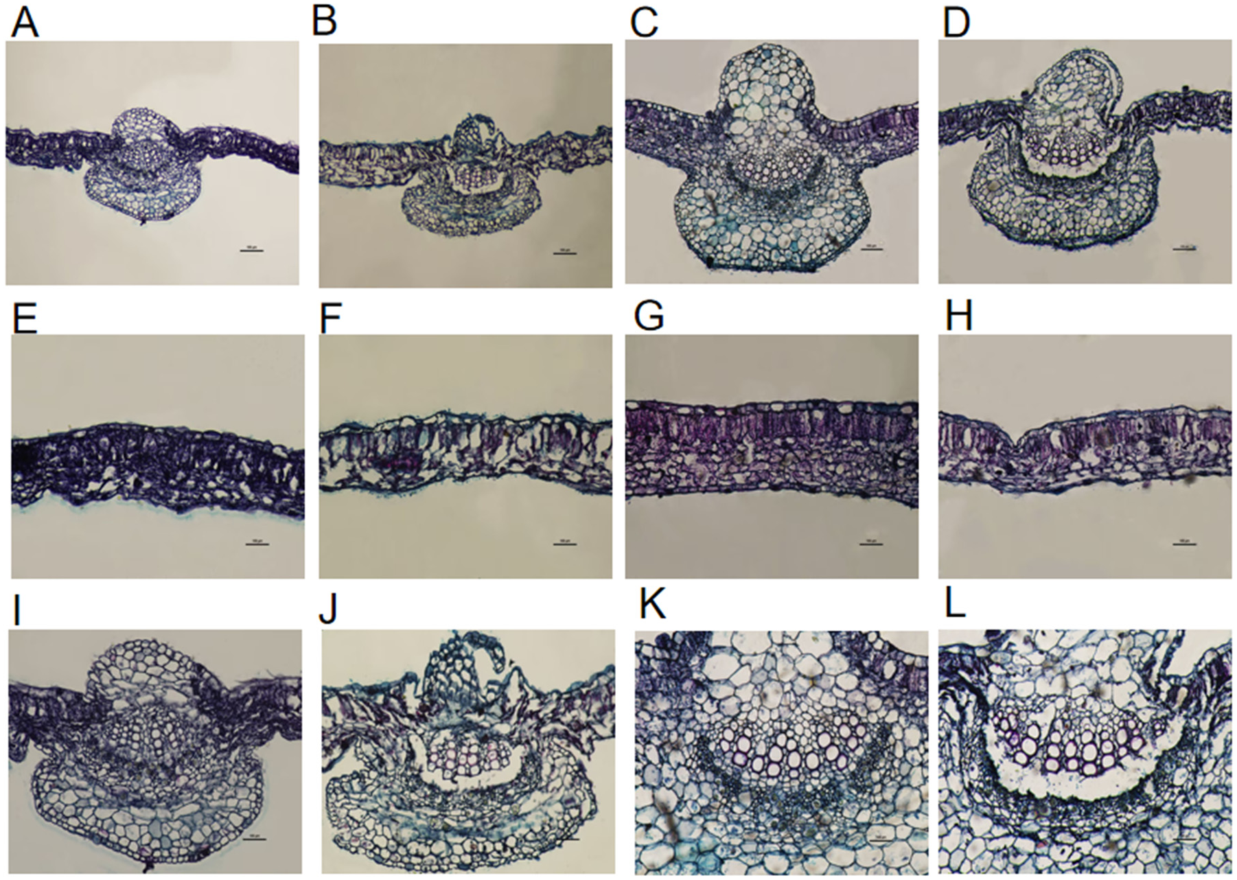 Preprints 201249 g007