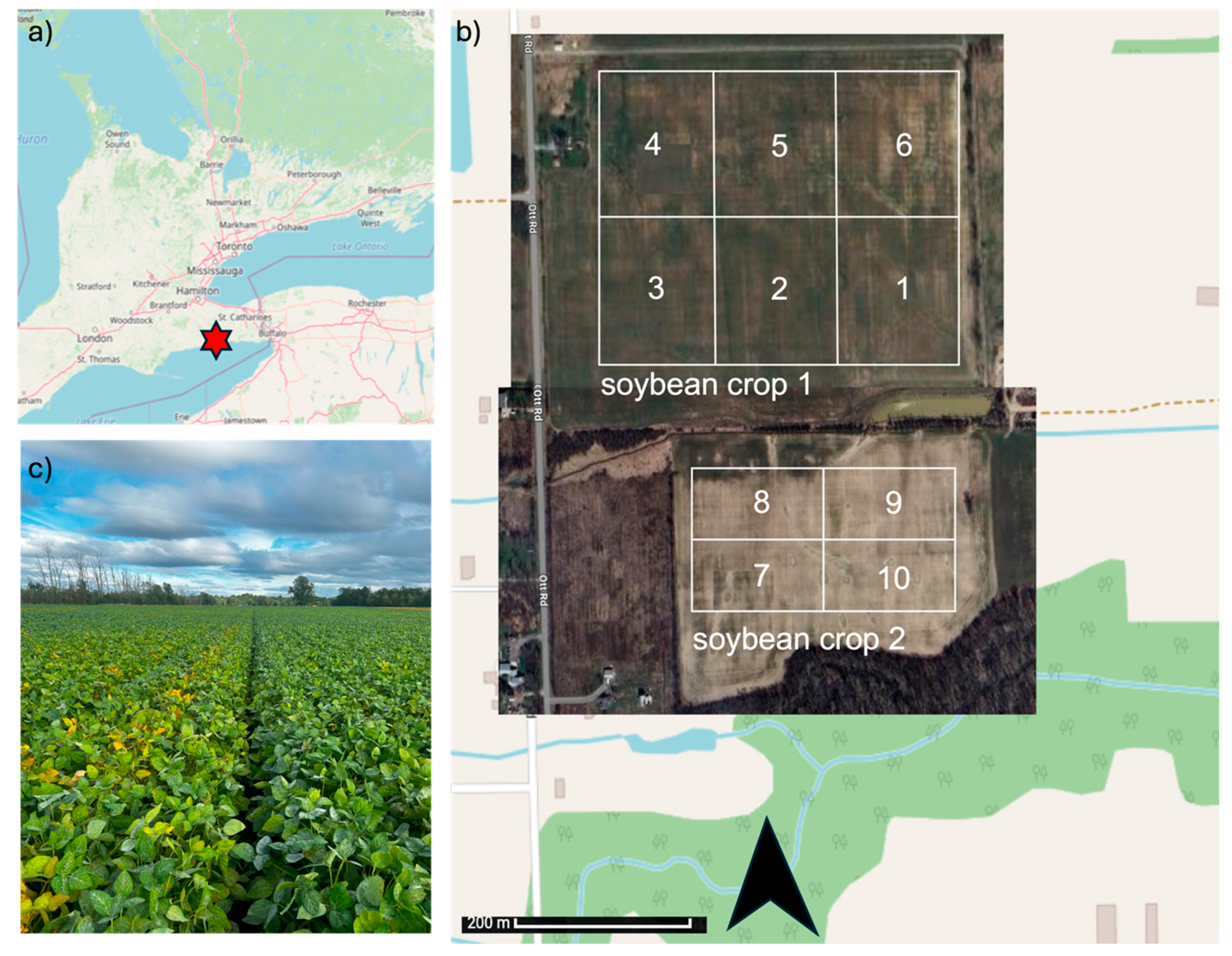 Preprints 178157 g001