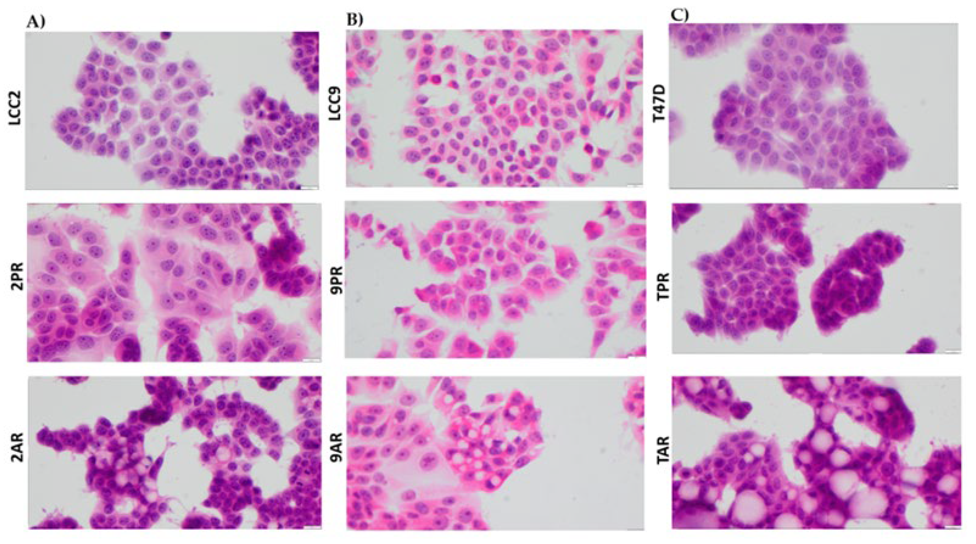 Preprints 184319 g006