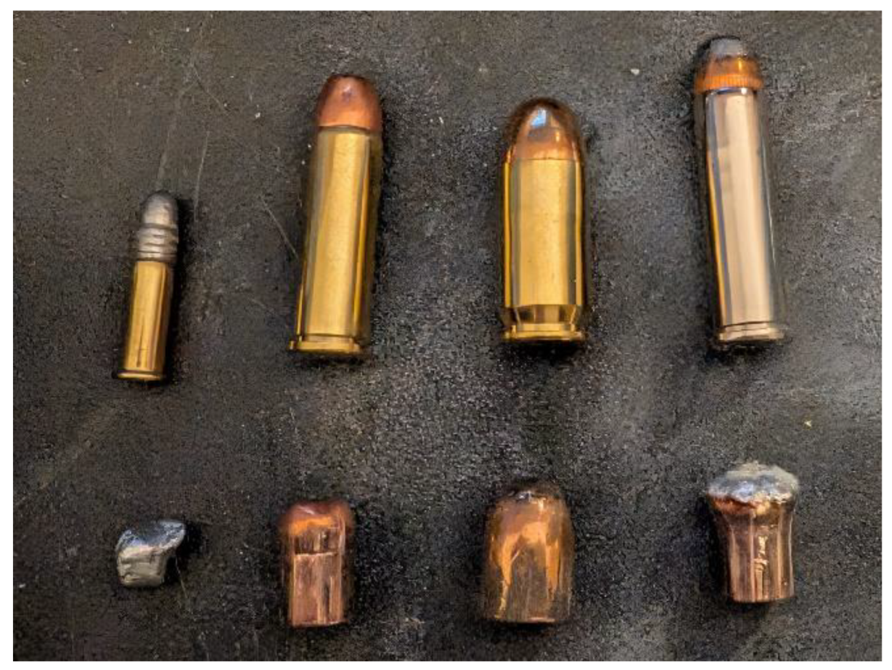 Preprints 189655 g011