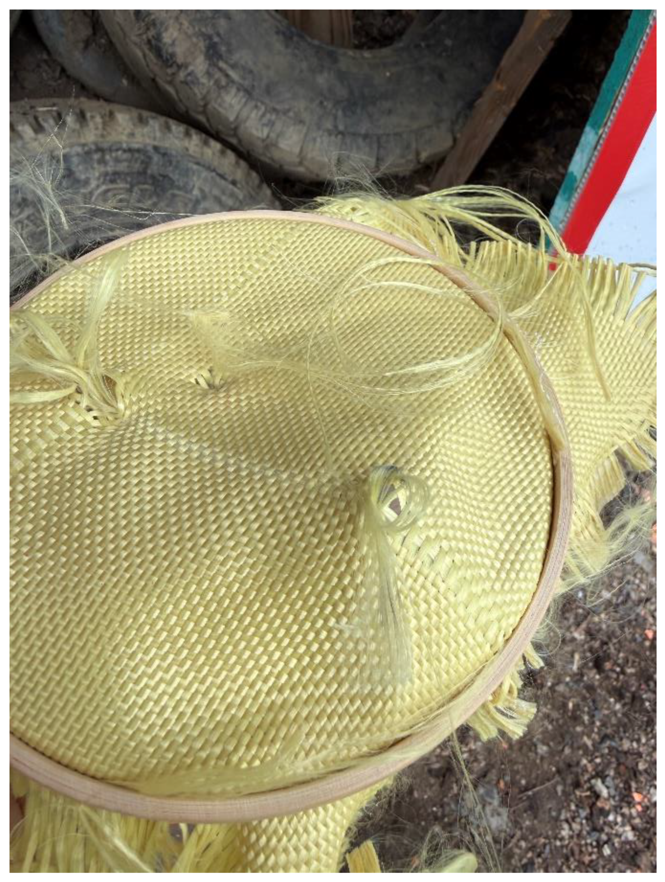 Preprints 189655 g012