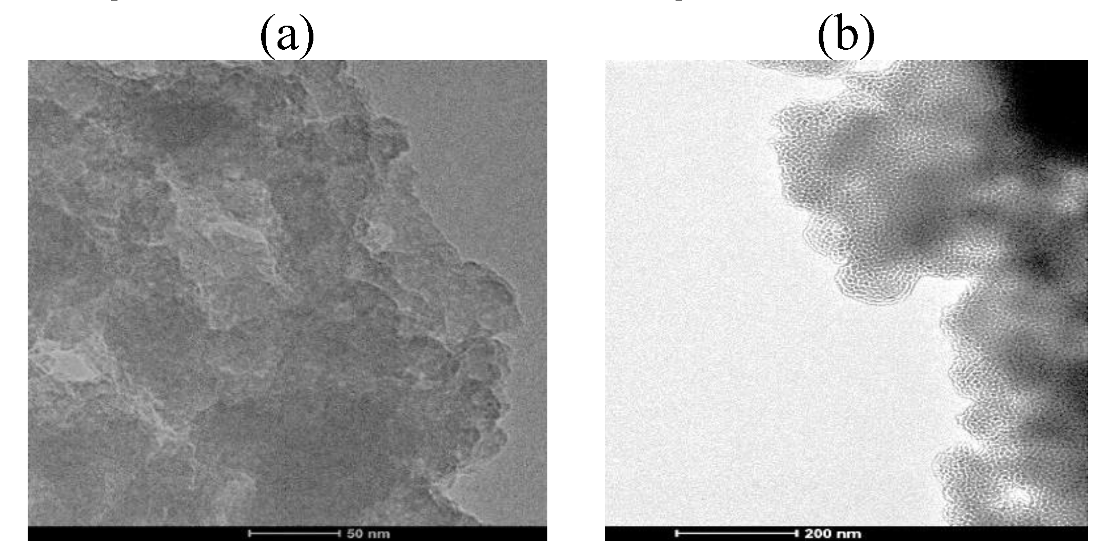 Preprints 185521 g003