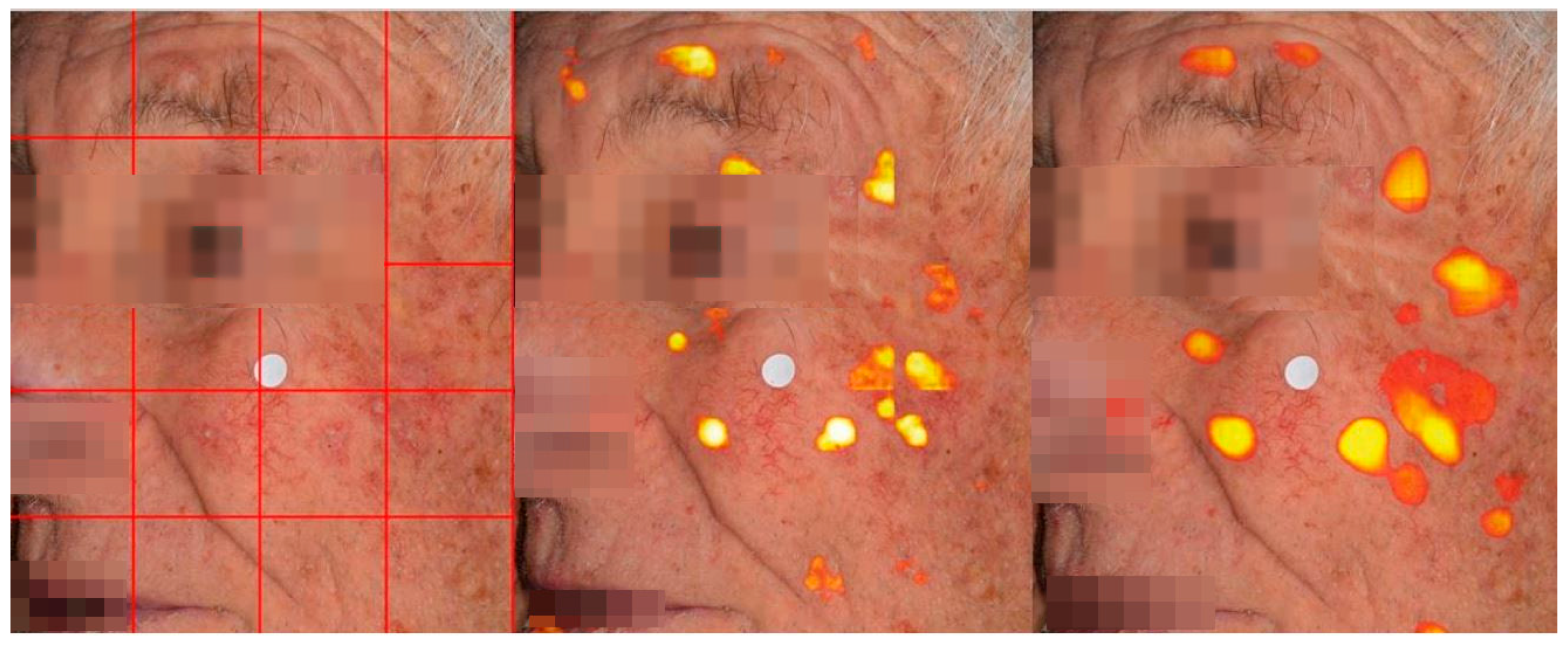 Preprints 162246 g003