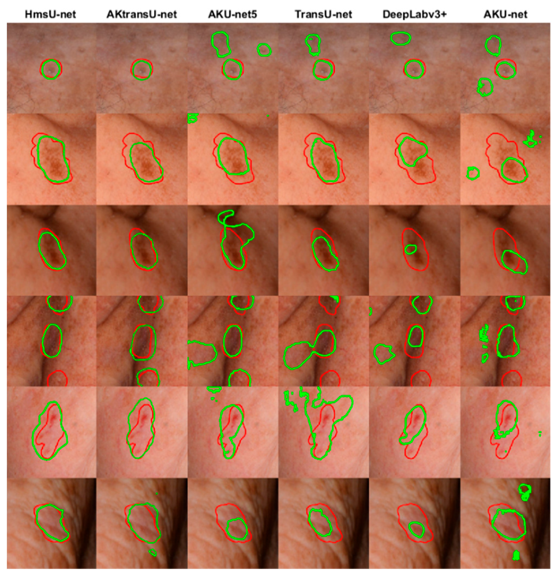 Preprints 162246 g005