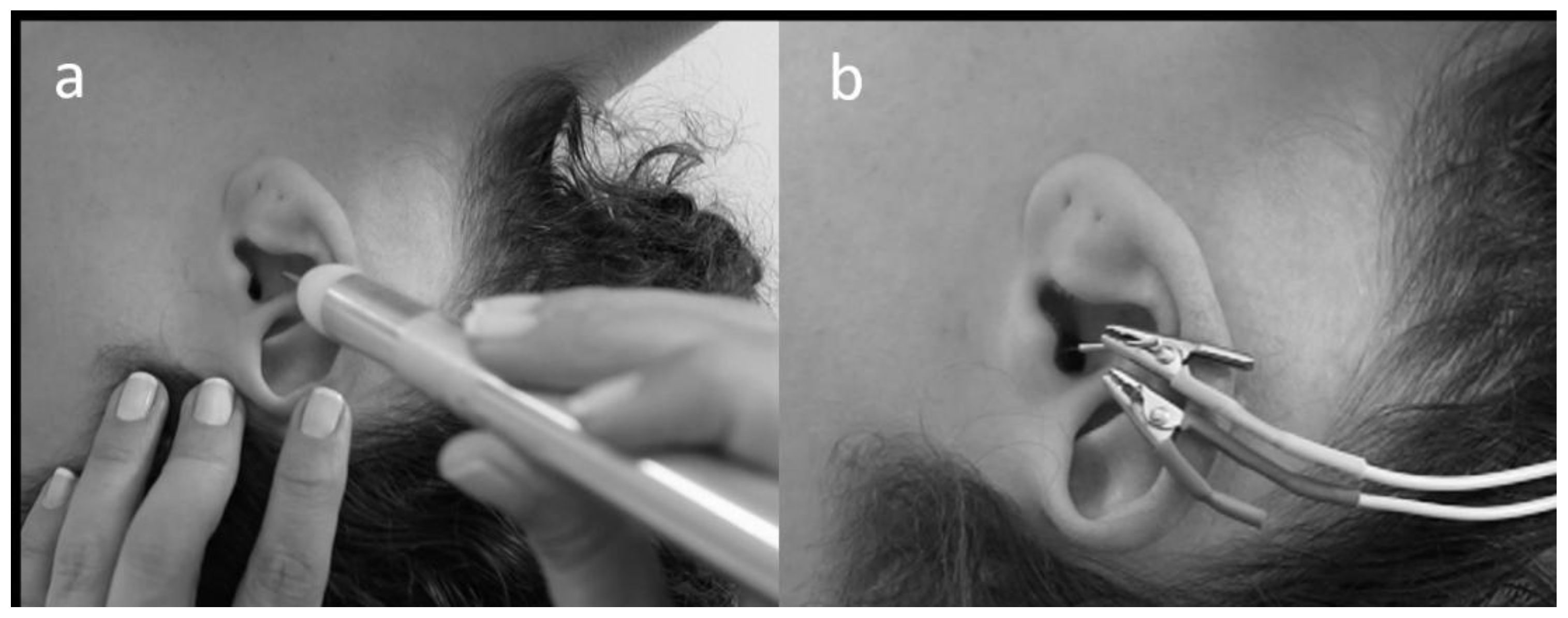 Preprints 178233 g001