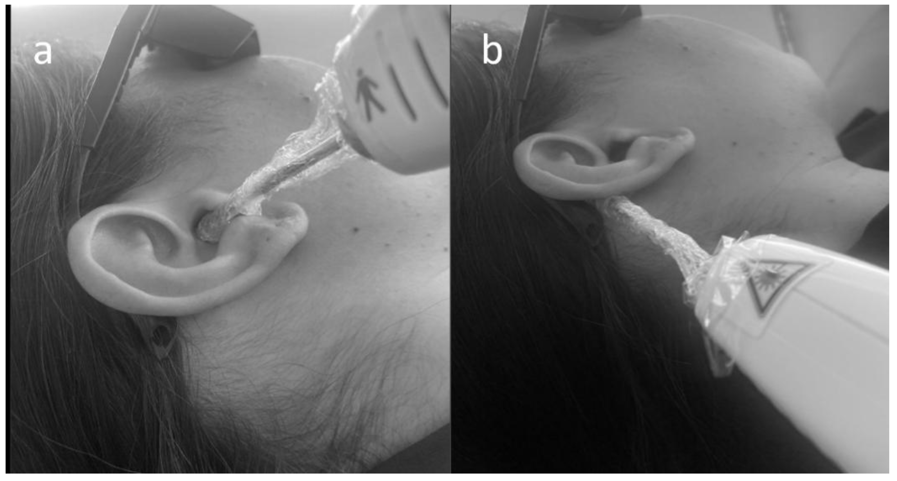 Preprints 178233 g003