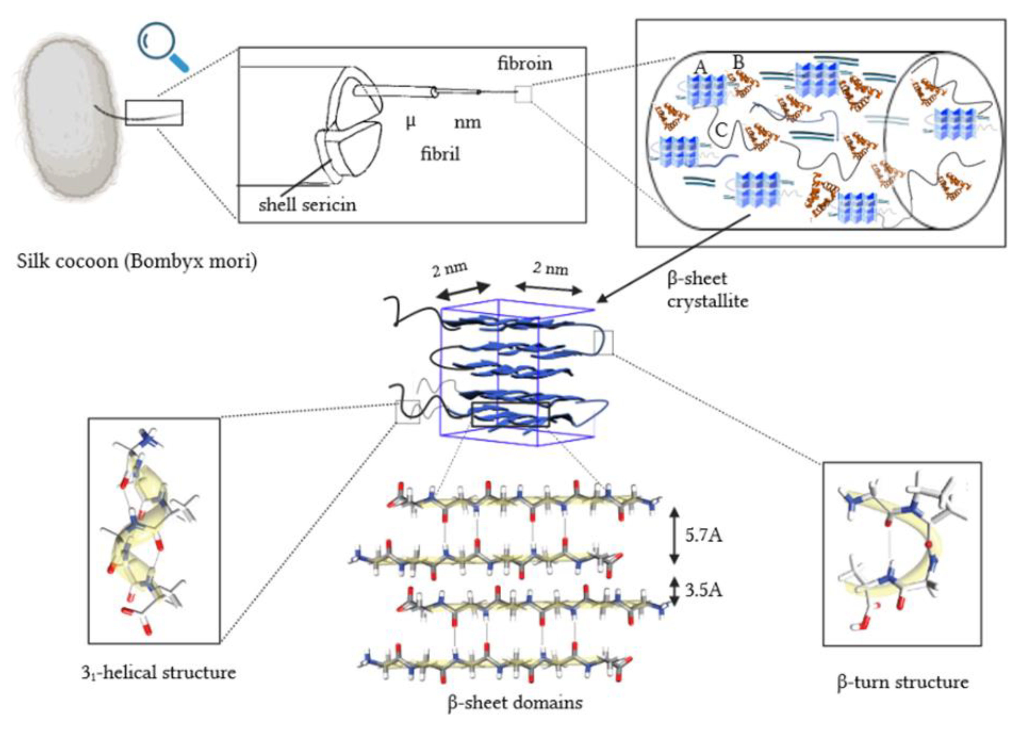 Preprints 103033 g001