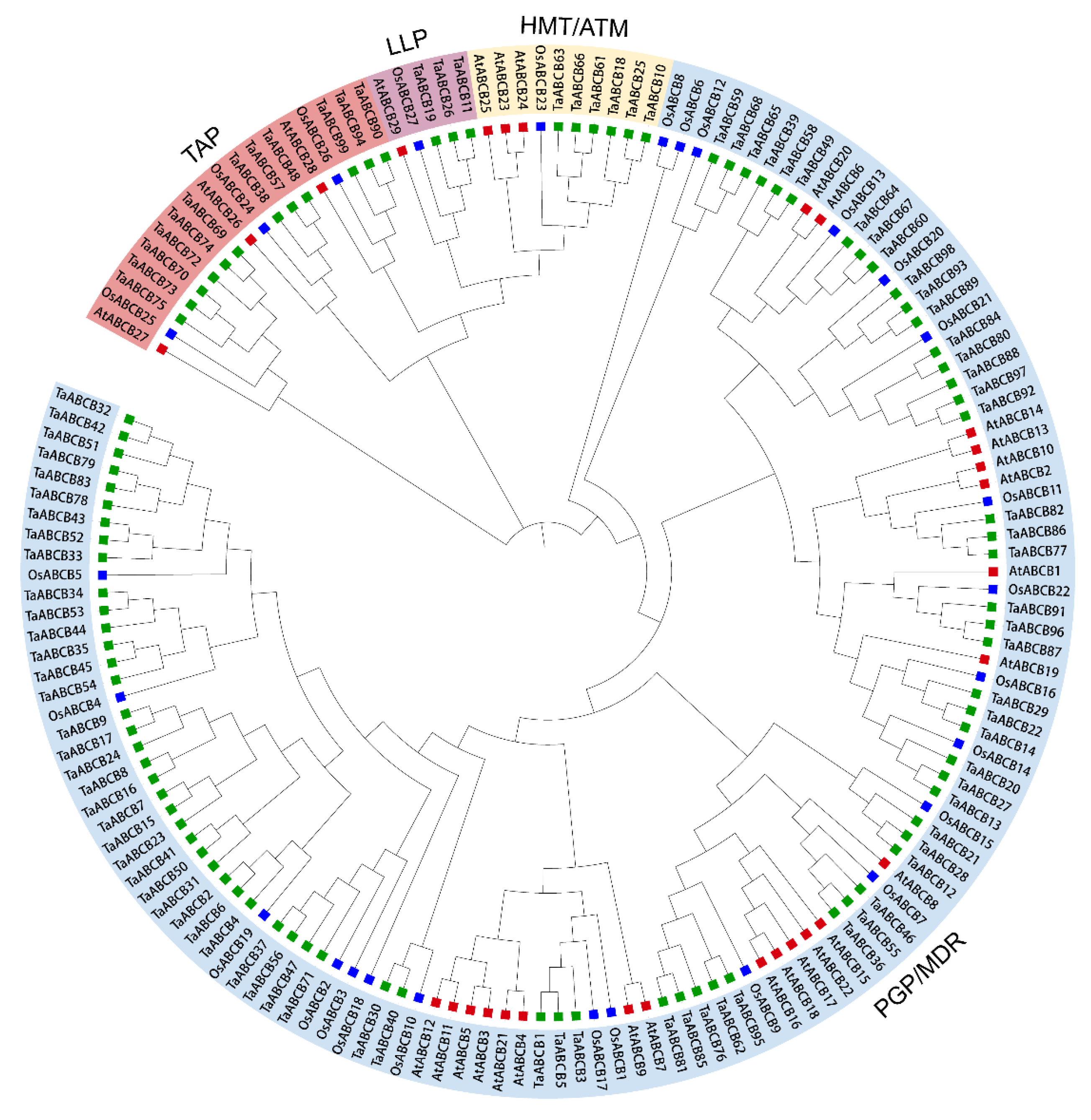 Preprints 179987 g001
