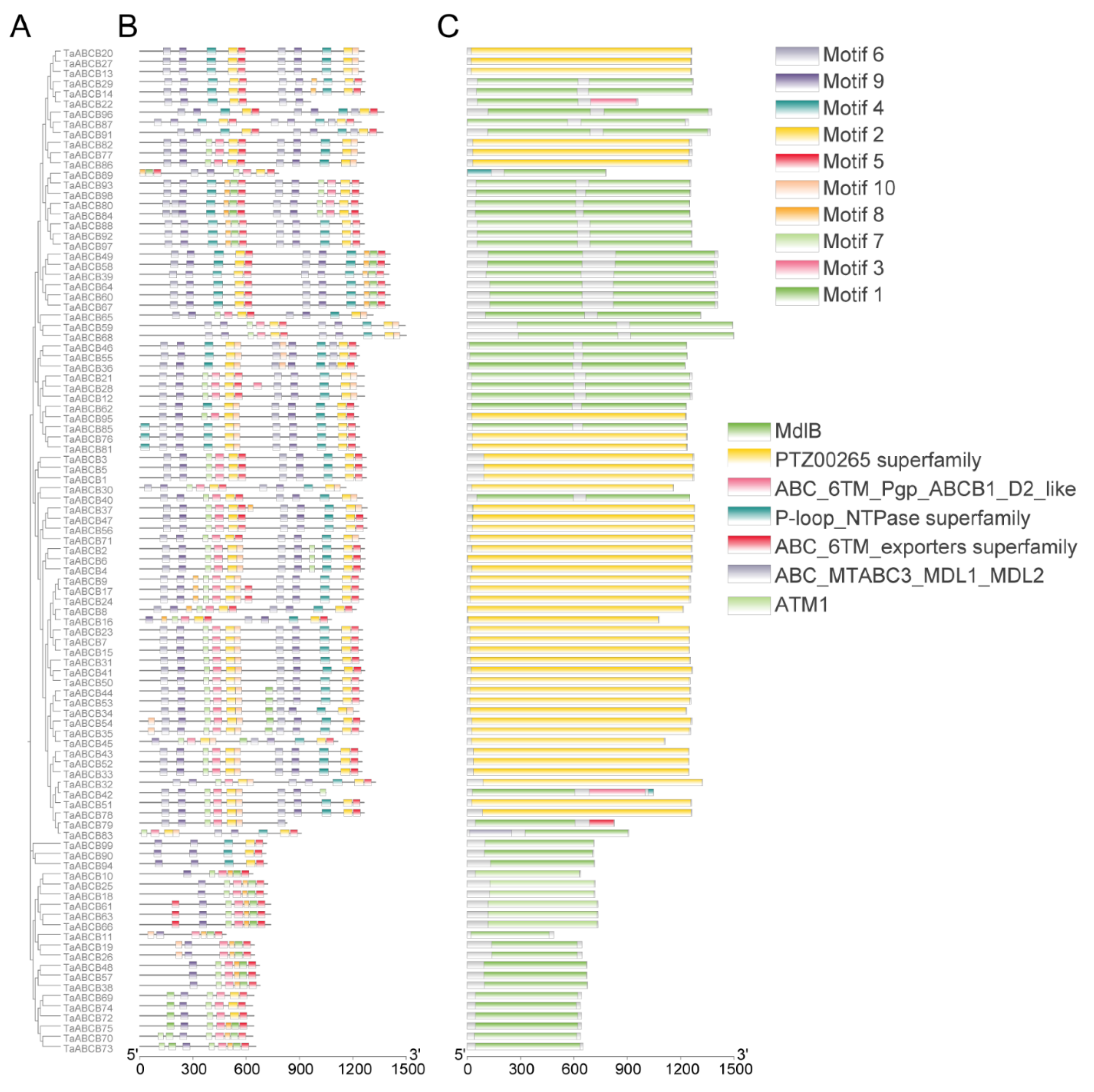 Preprints 179987 g003