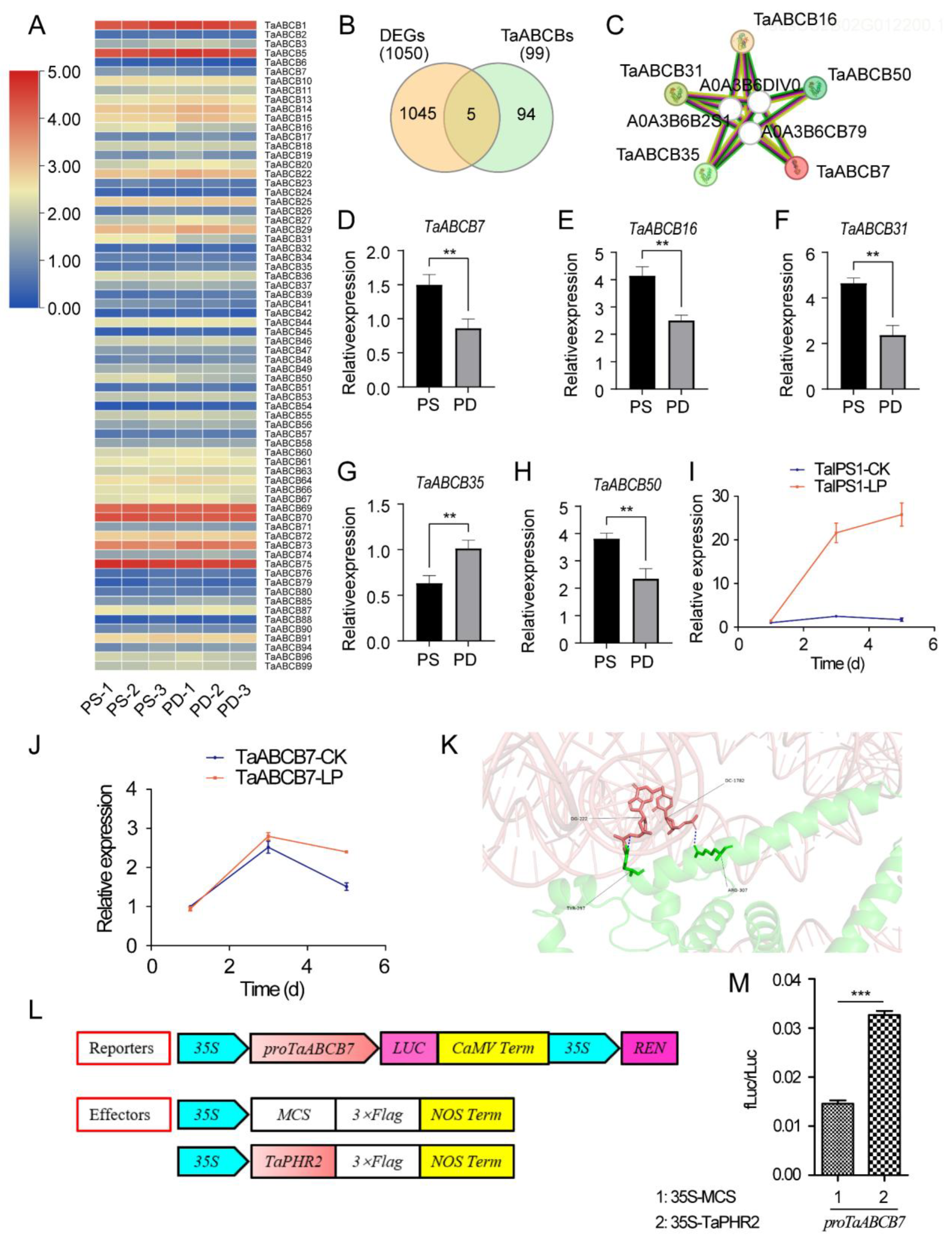 Preprints 179987 g009