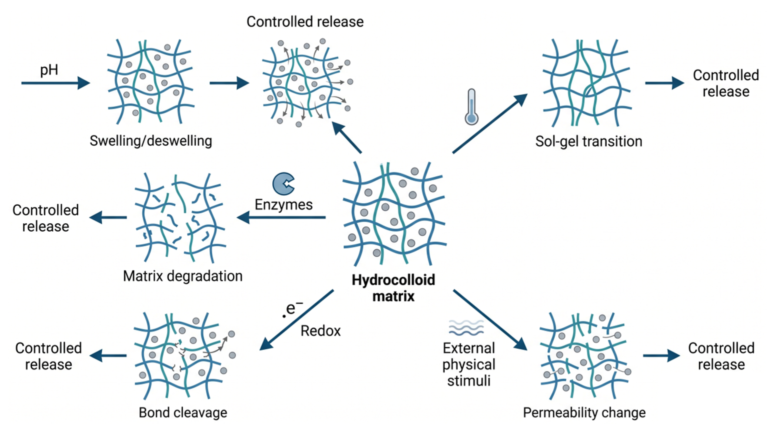 Preprints 219037 g003 Preprints 219037 g003