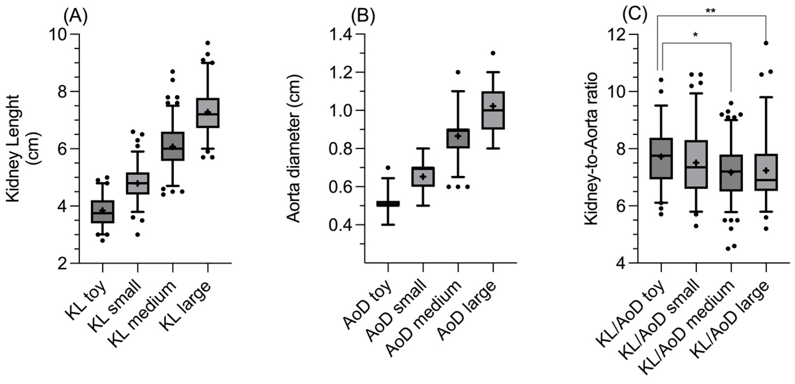 Preprints 141773 g001