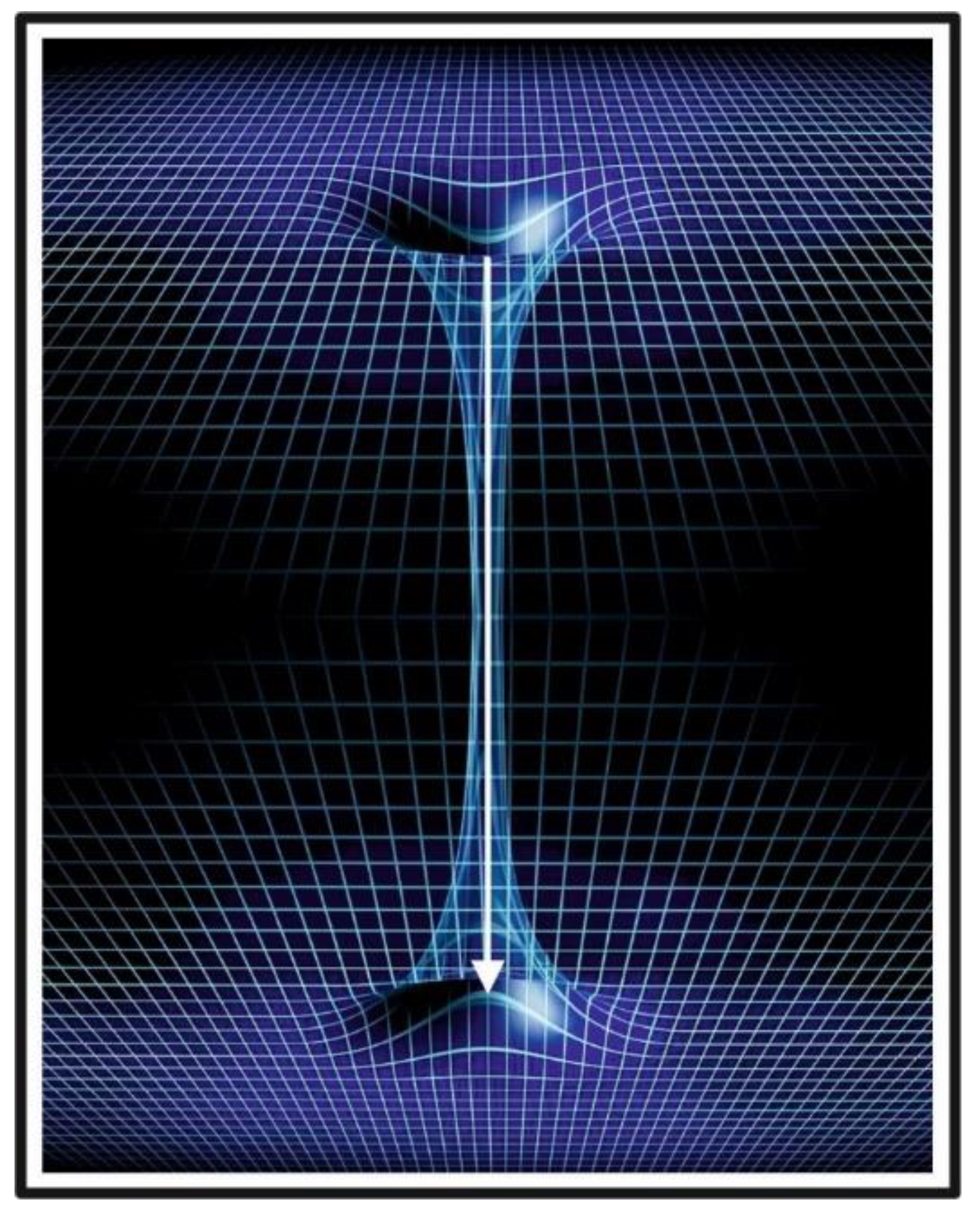 Preprints 159296 g013