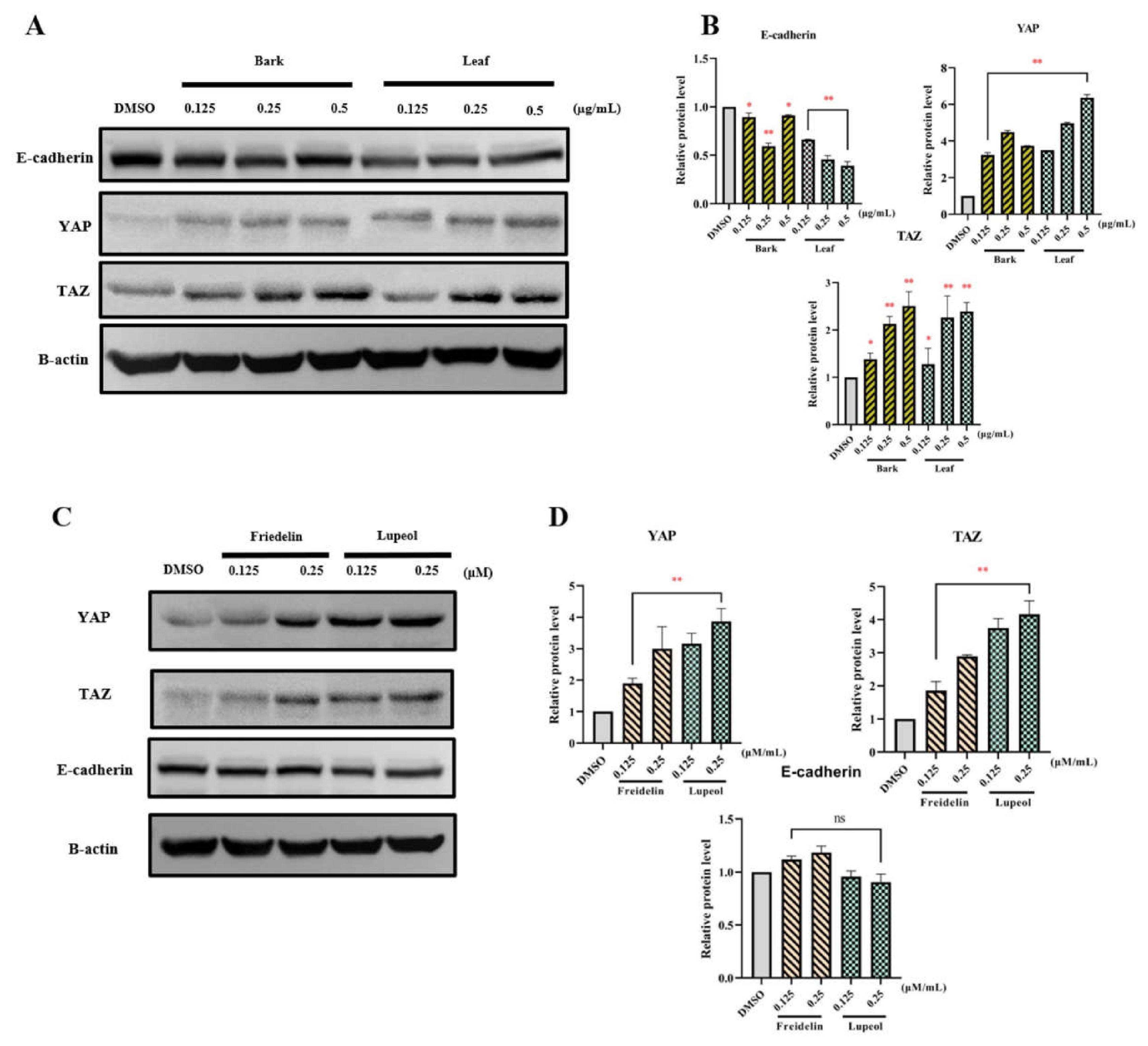 Preprints 235409 g004 Preprints 235409 g004