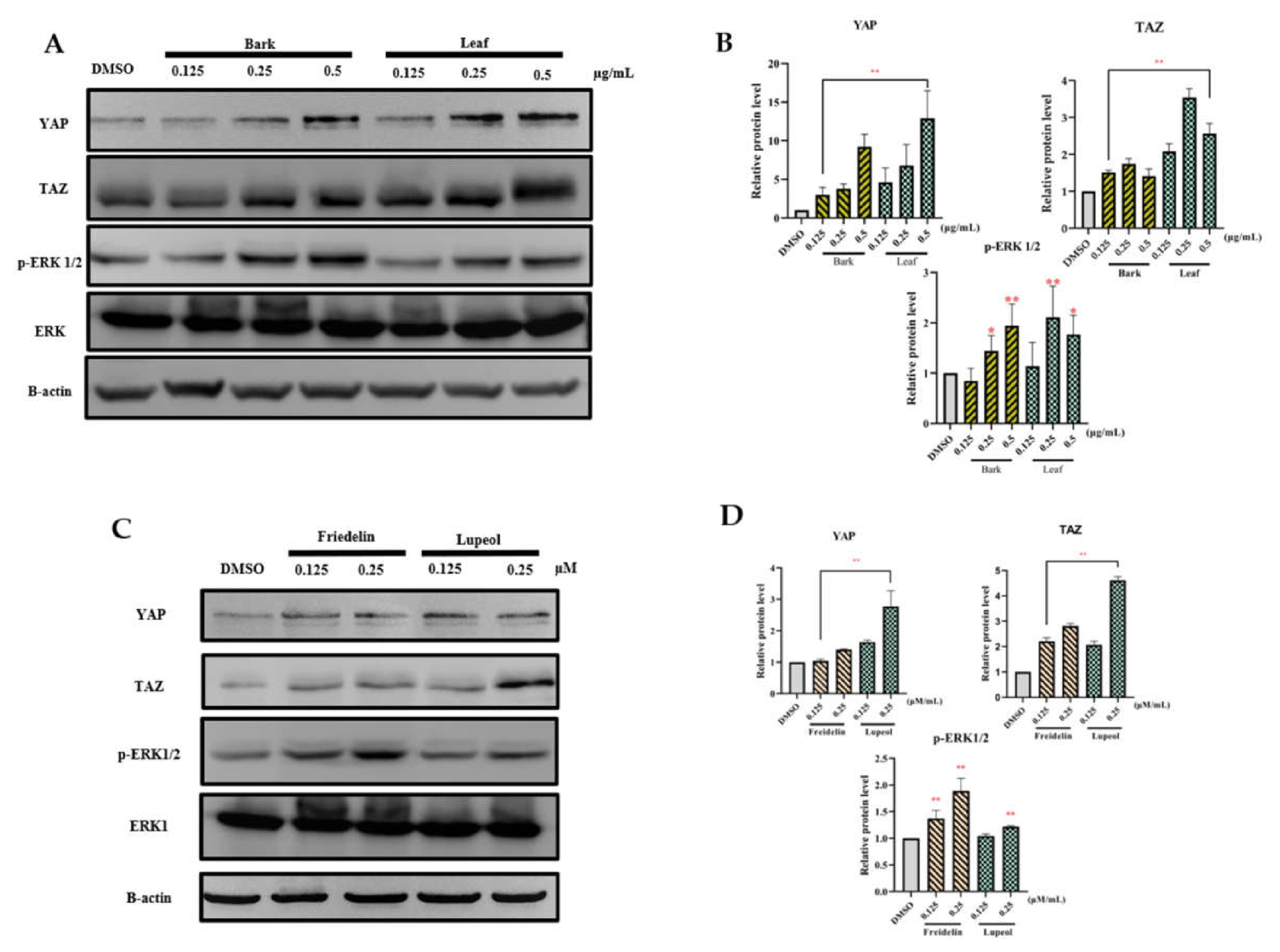Preprints 235409 g006 Preprints 235409 g006