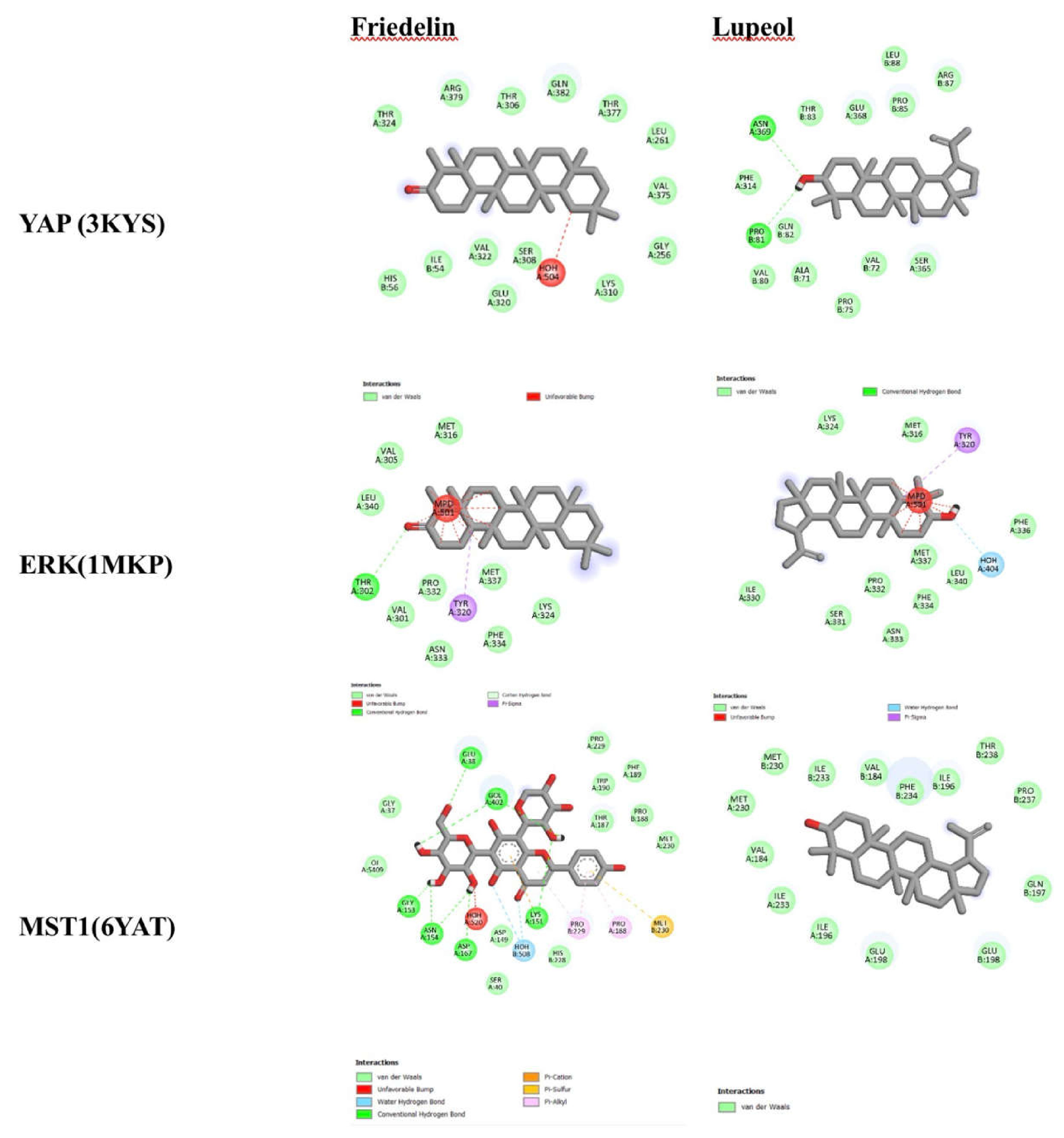 Preprints 235409 g008 Preprints 235409 g008