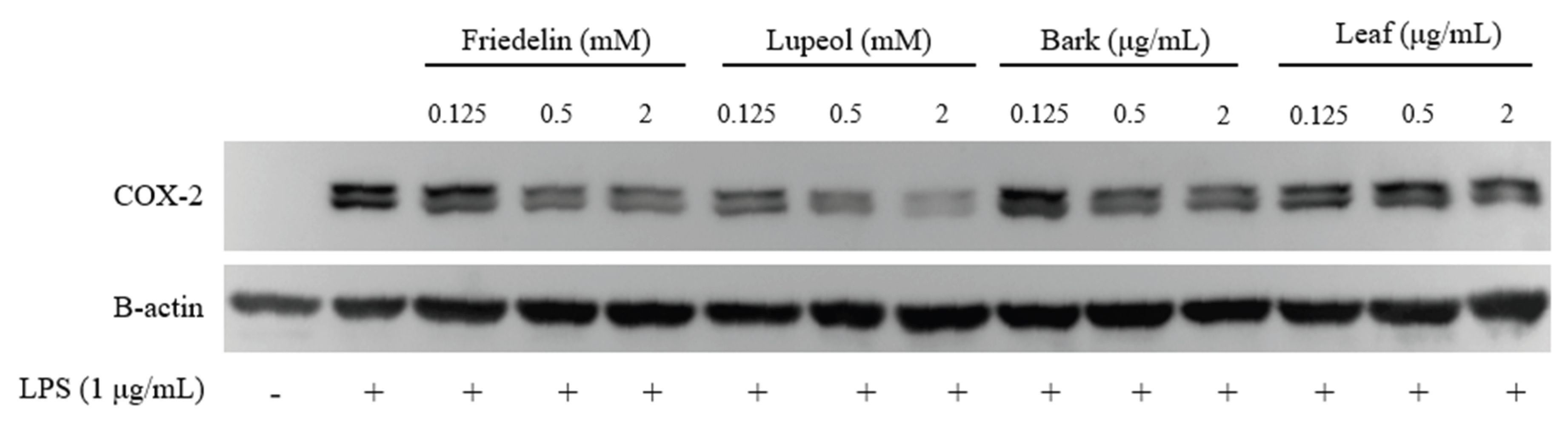 Preprints 235409 g009 Preprints 235409 g009