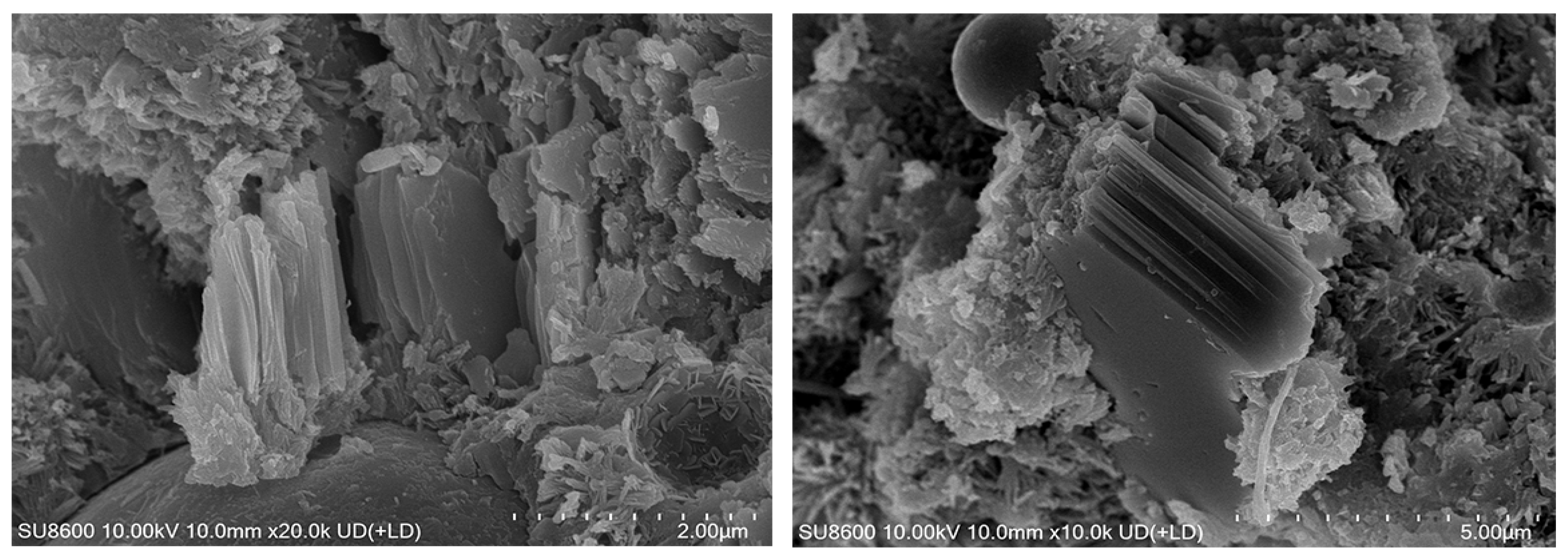 Preprints 146023 g011