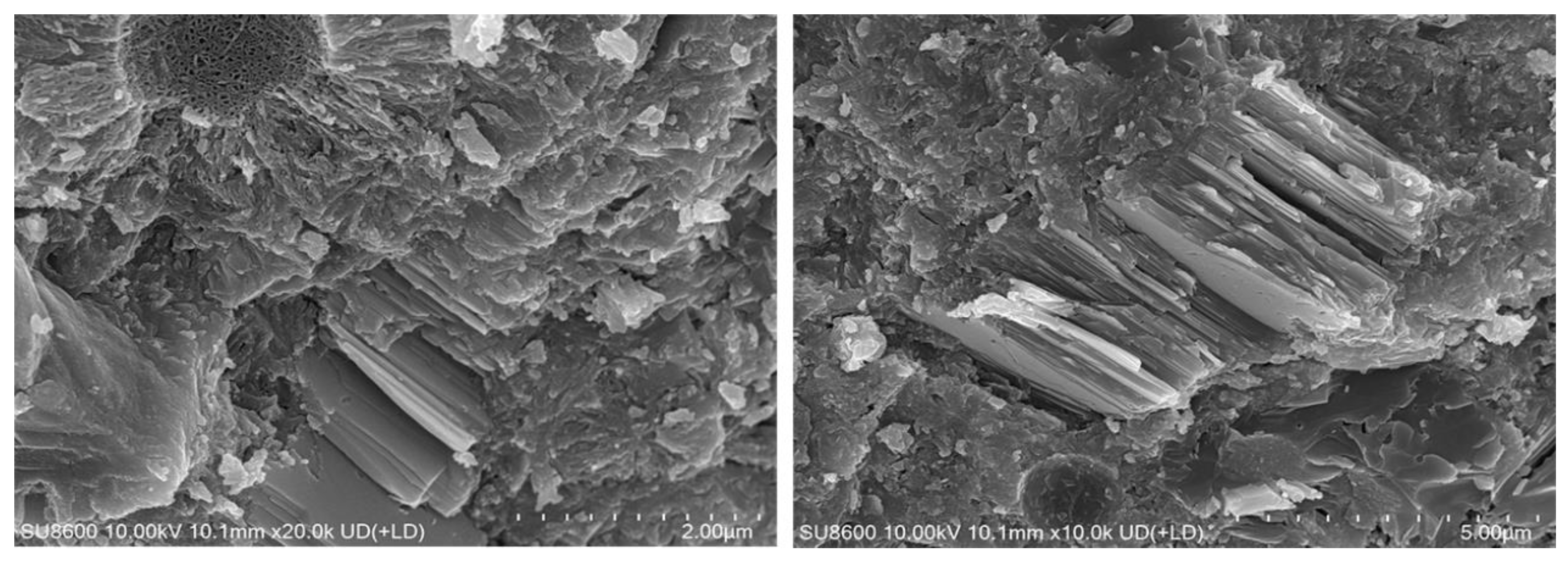 Preprints 146023 g013