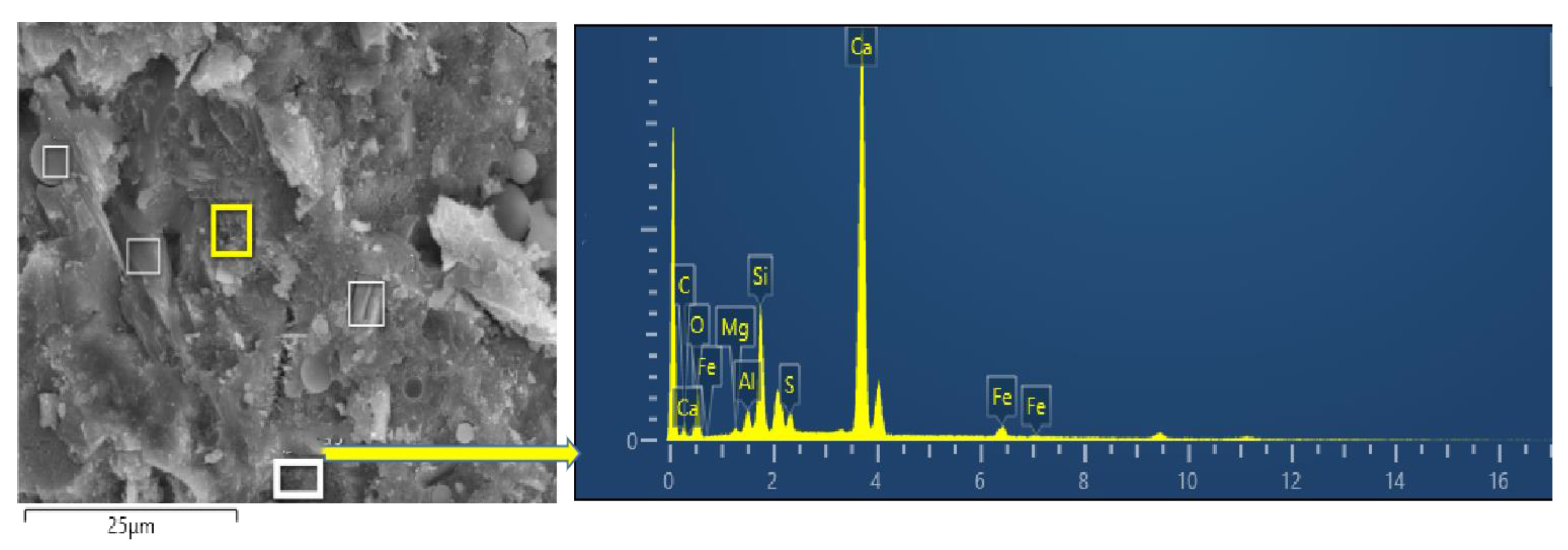 Preprints 146023 g015