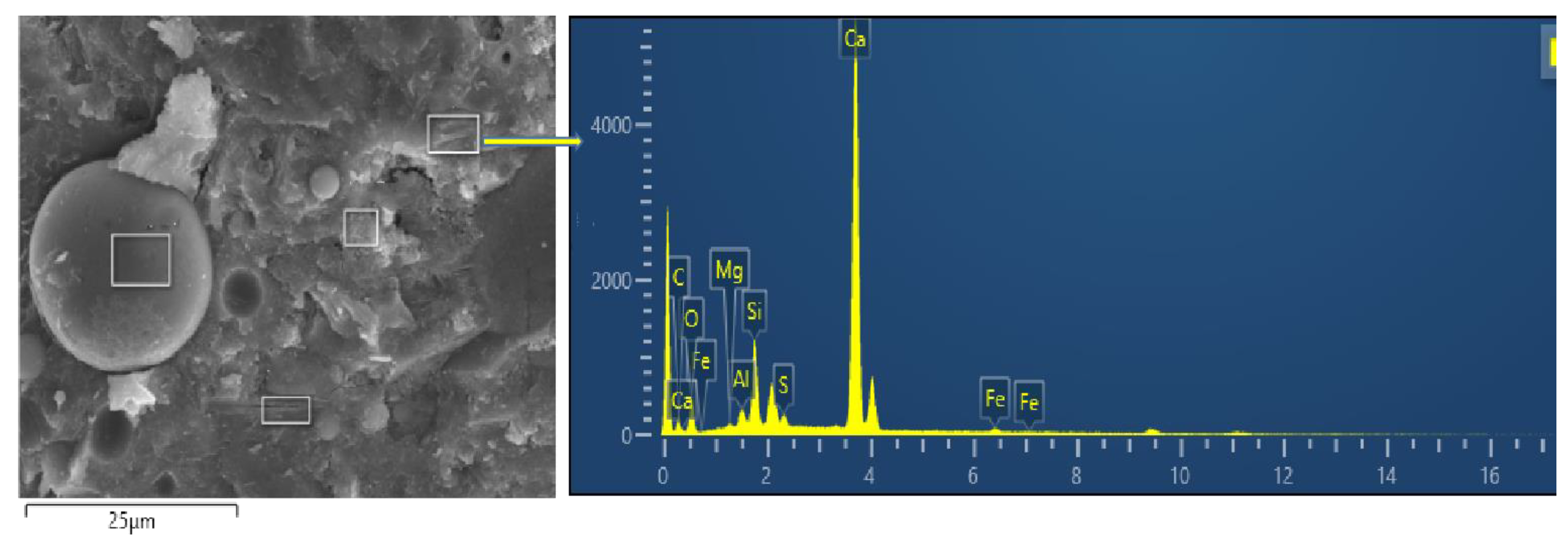 Preprints 146023 g016