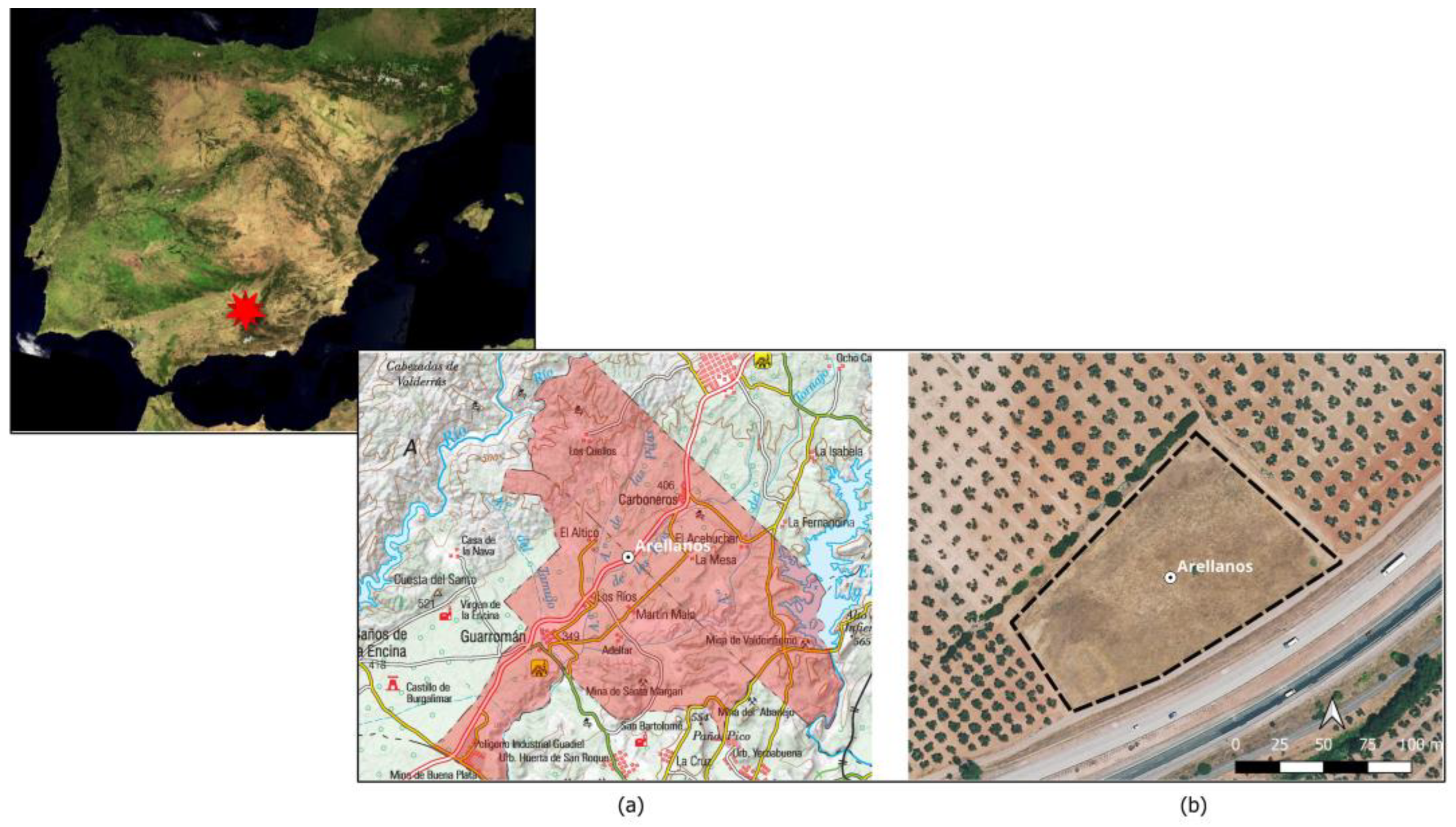 Preprints 165931 g001