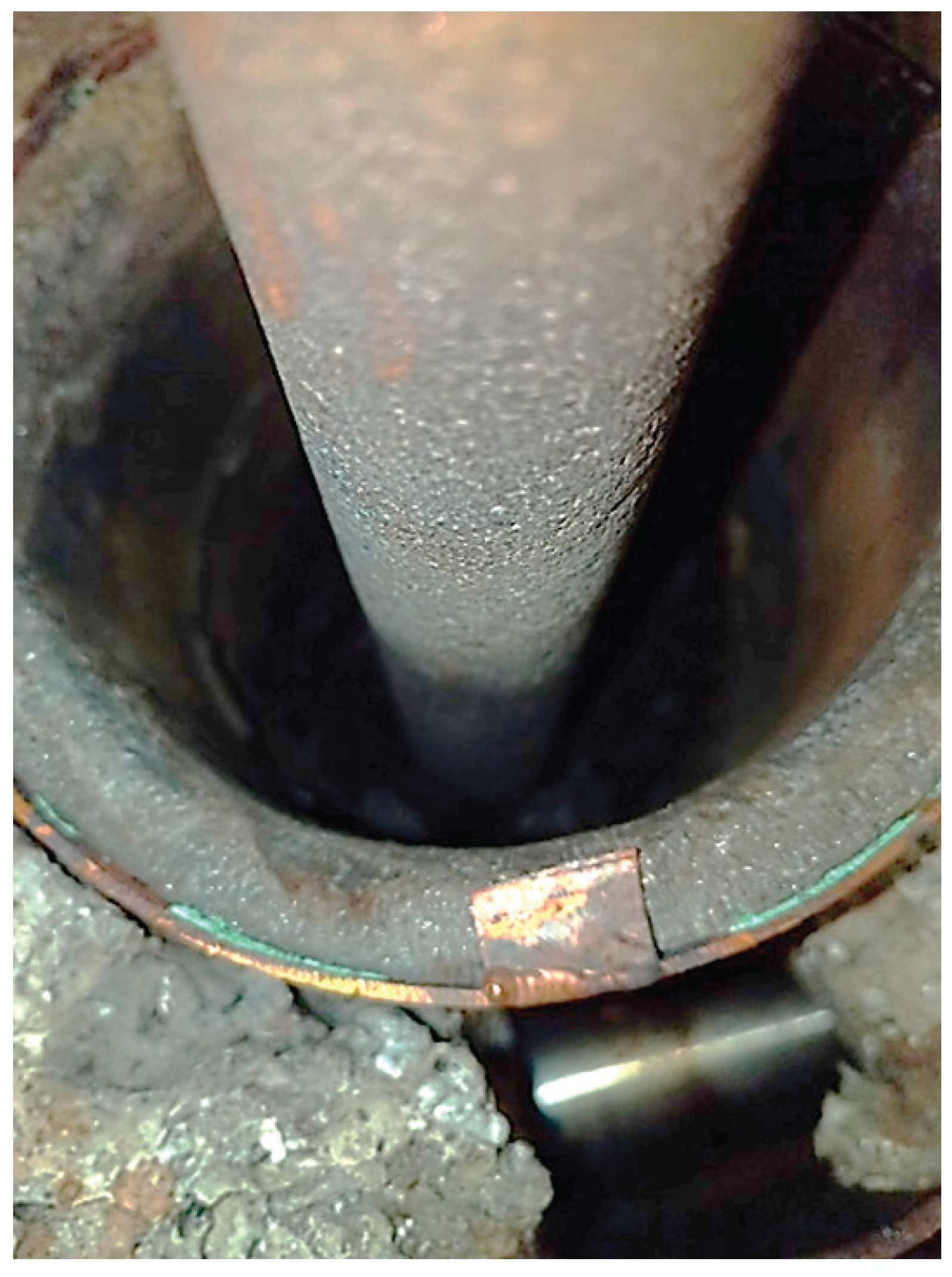 Preprints 167459 g004