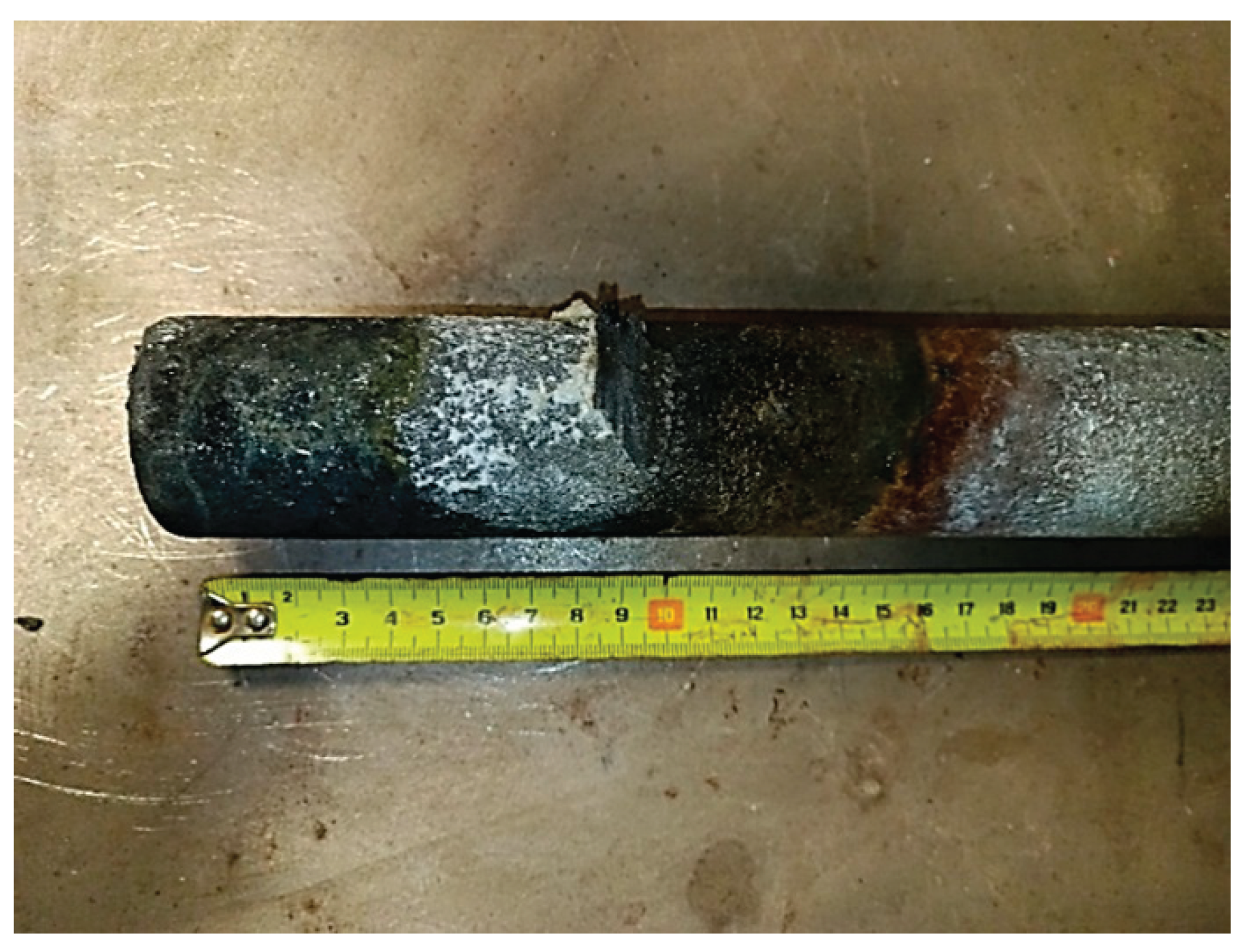 Preprints 167459 g008