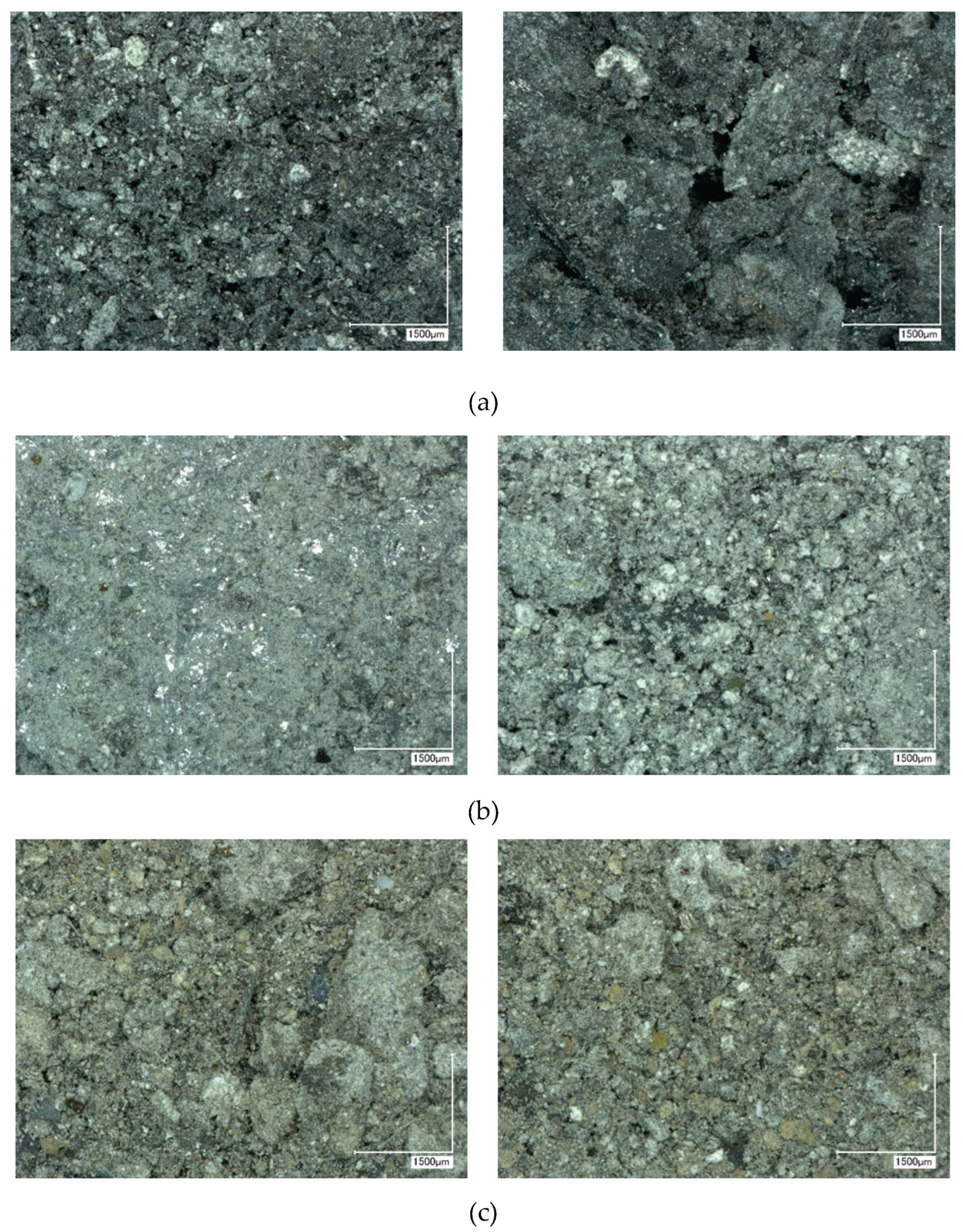 Preprints 167459 g010